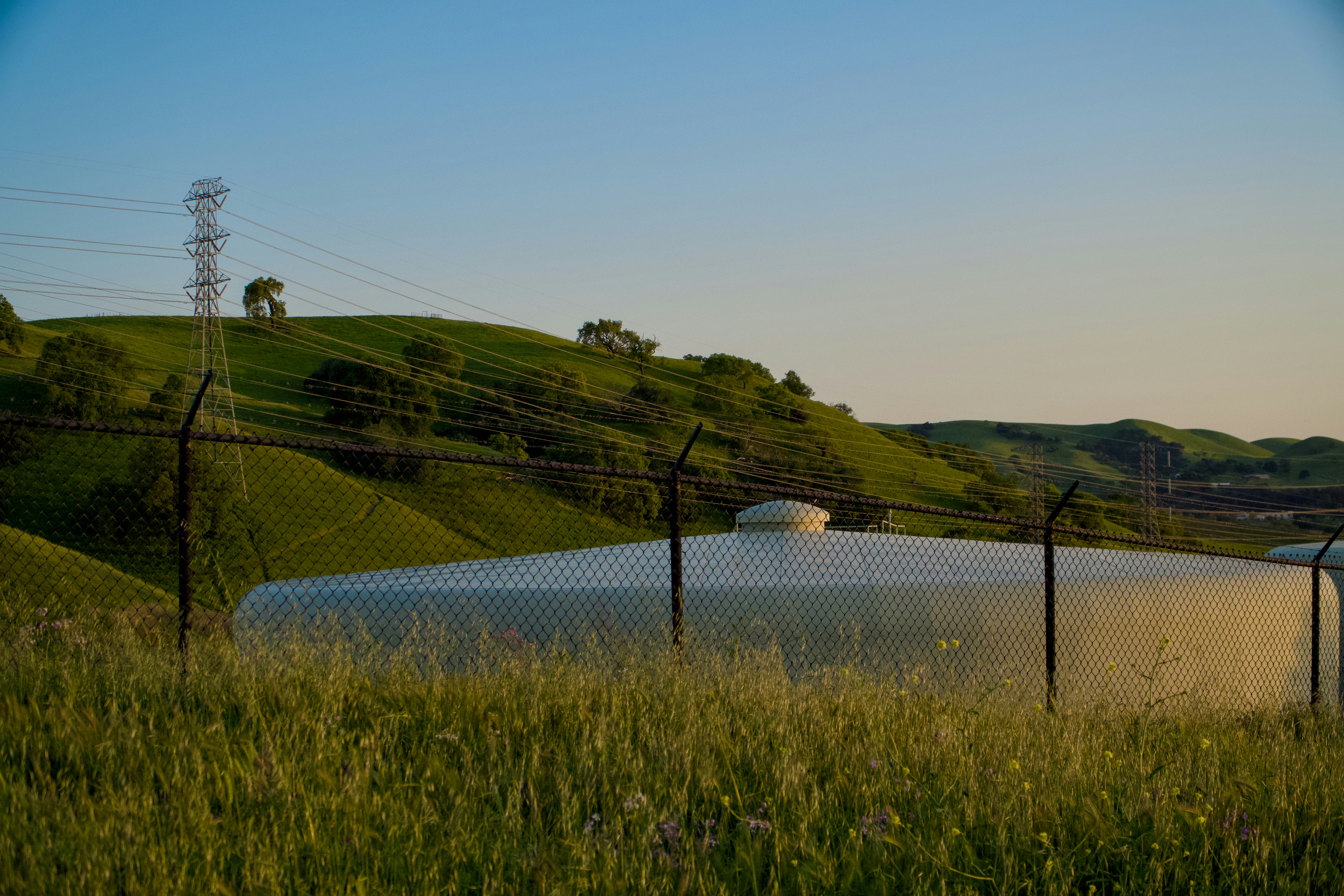 Photo by spencer_demera