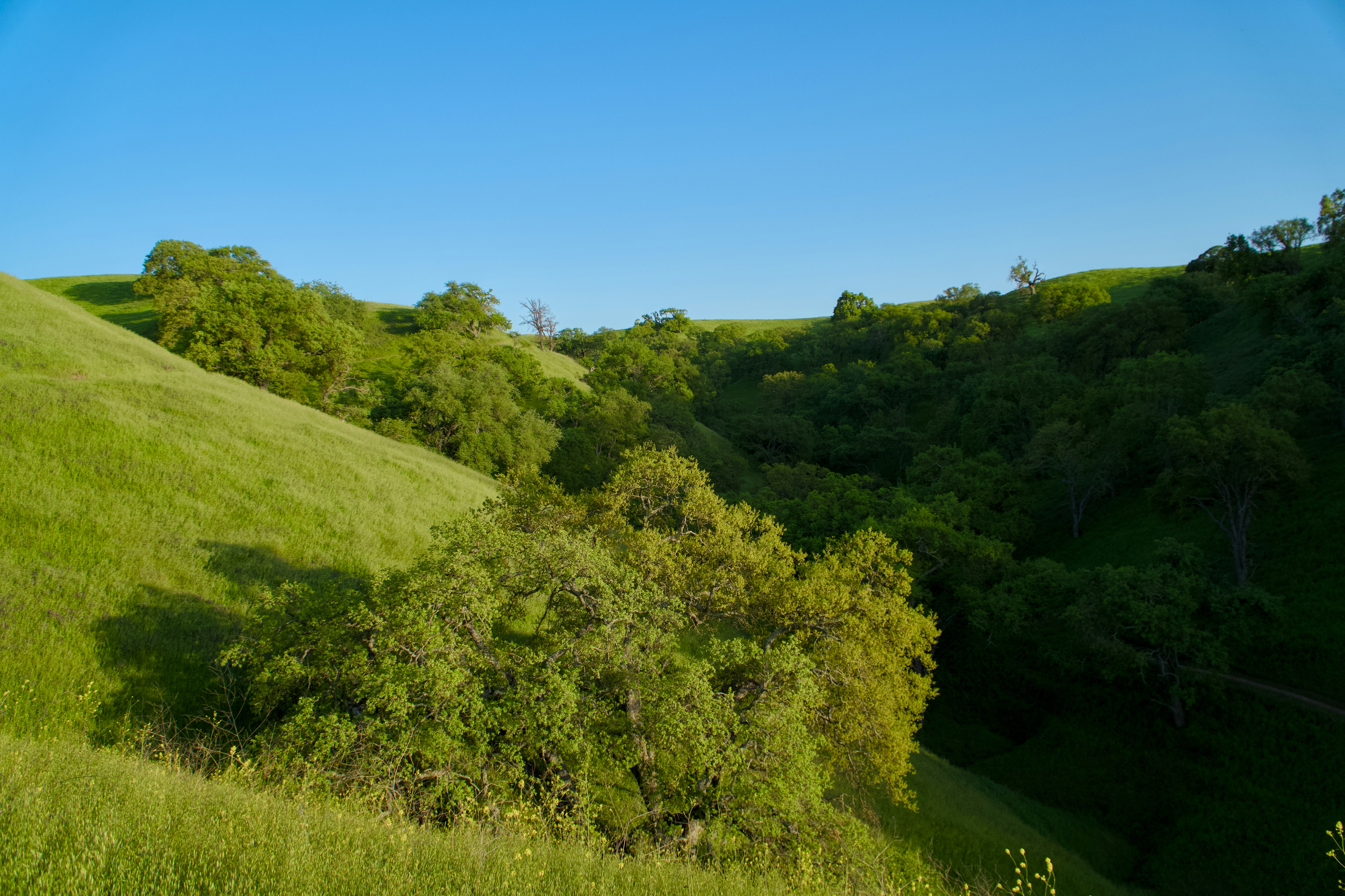 Photo by spencer_demera