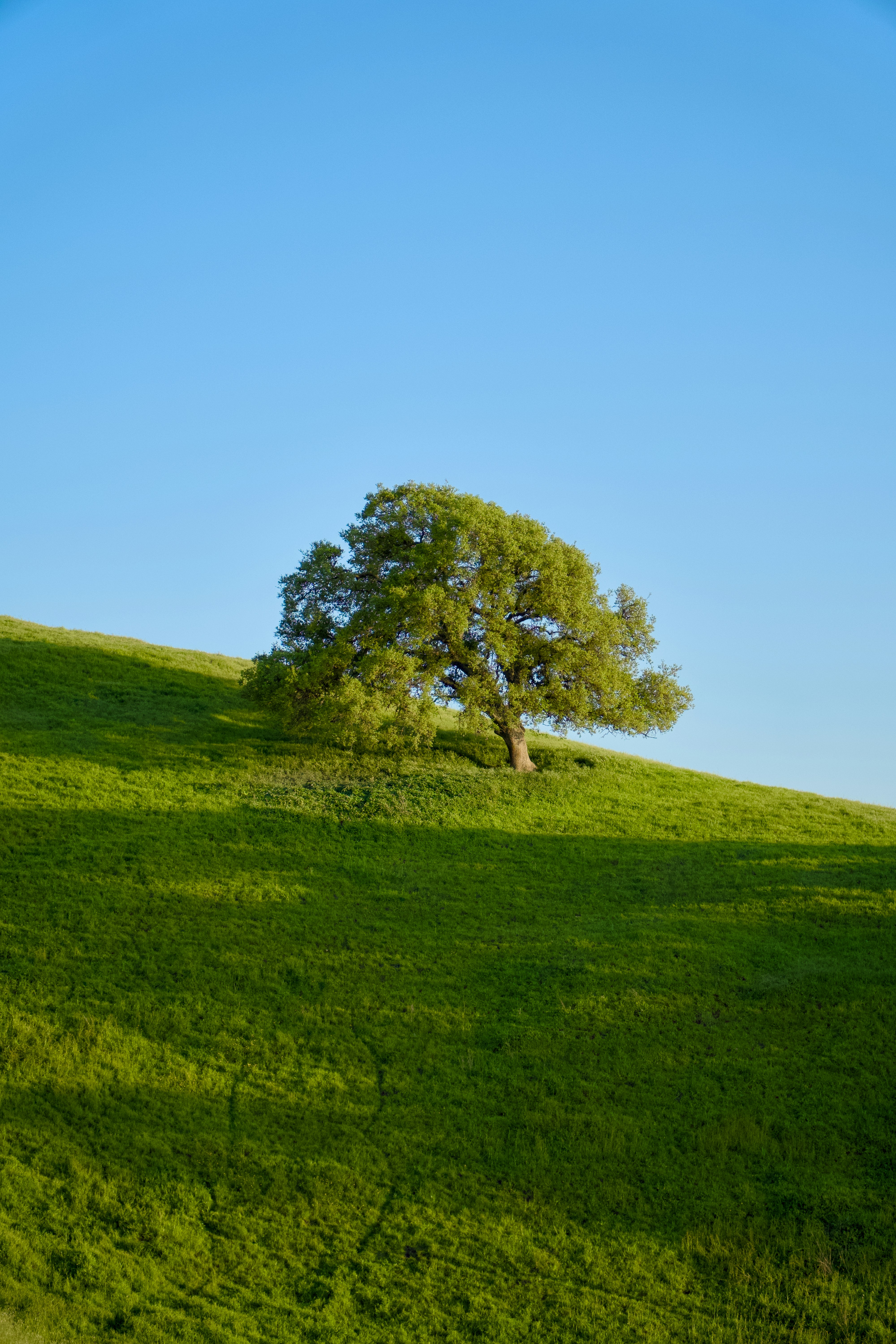 Photo by spencer_demera