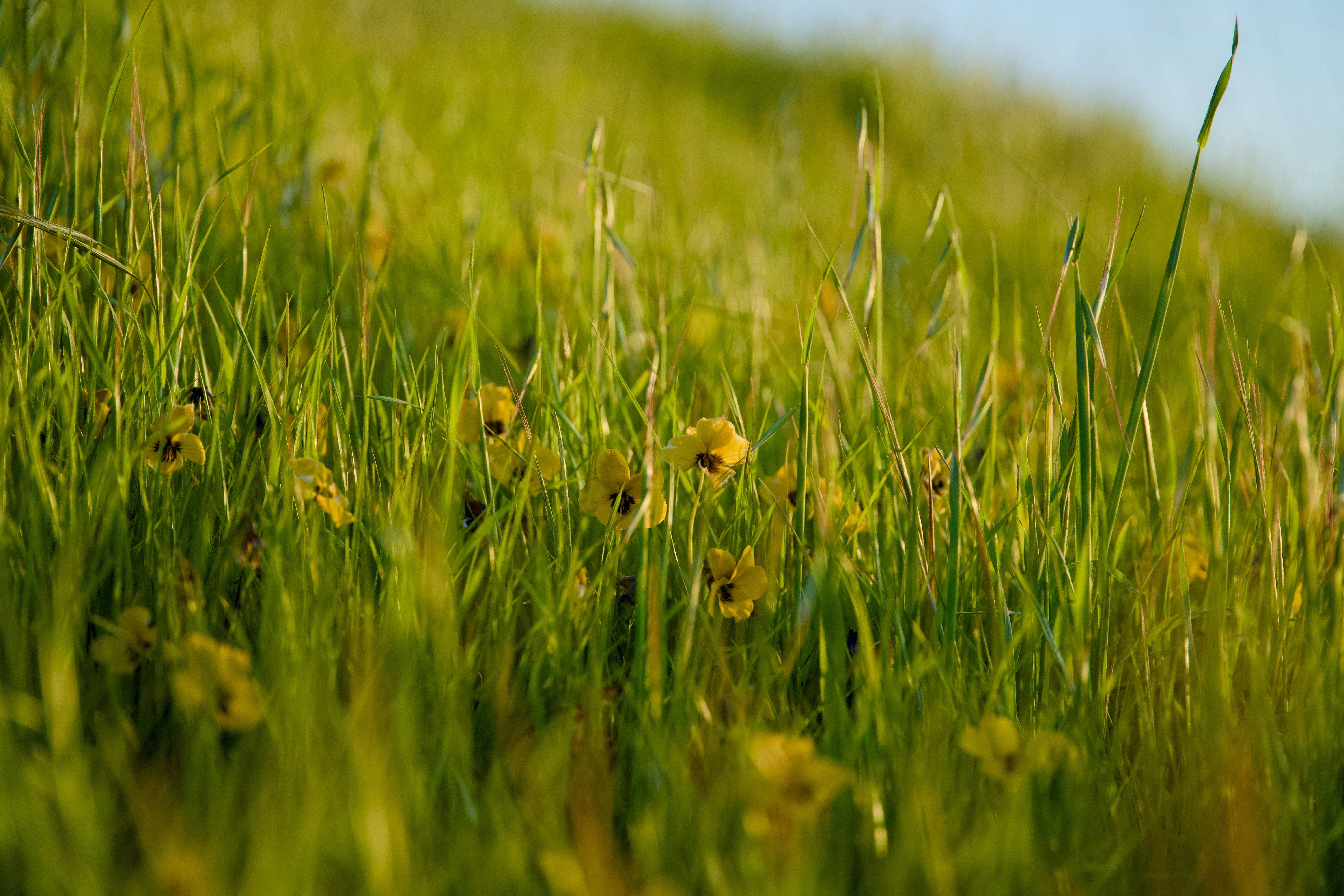 Photo by spencer_demera