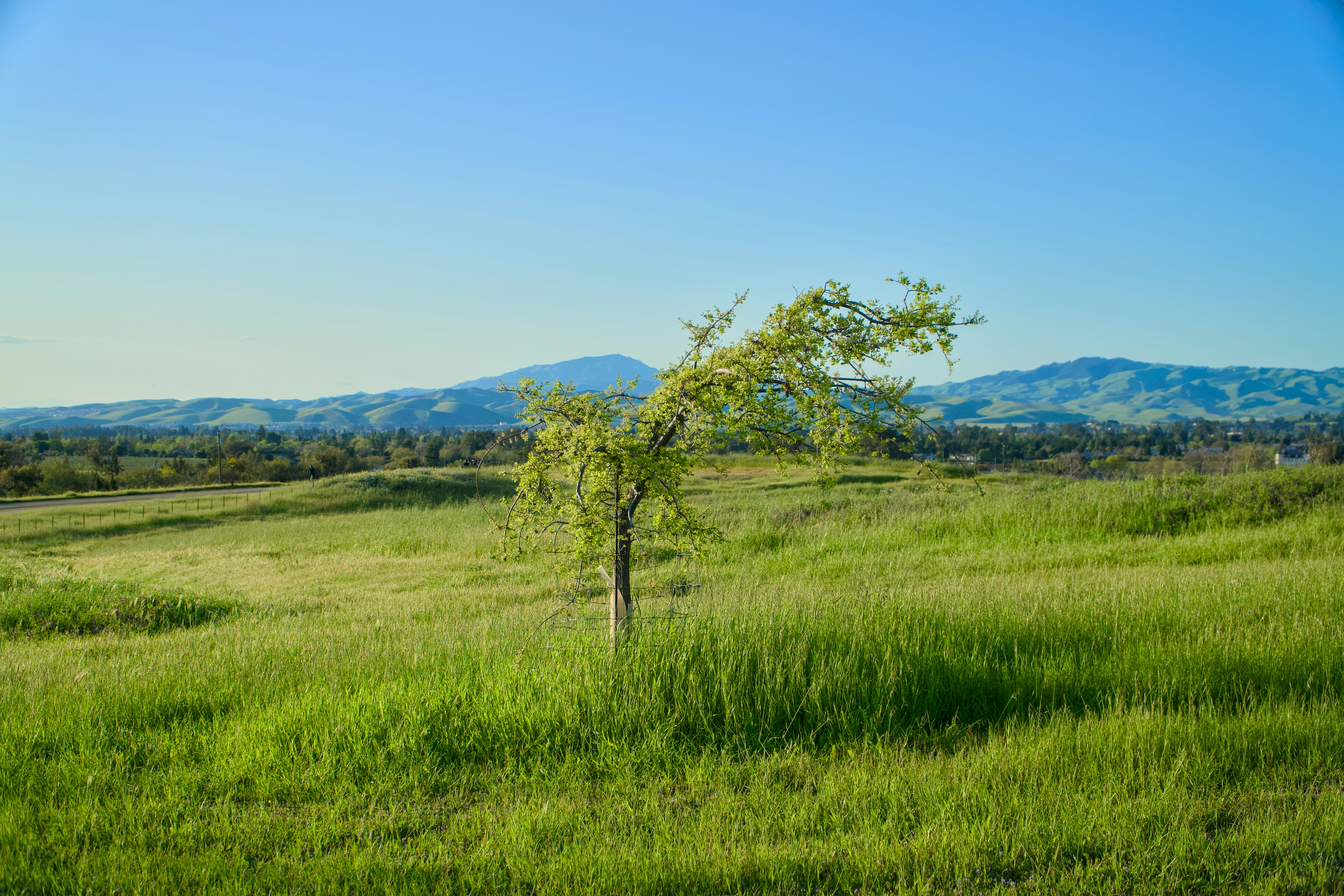 Photo by spencer_demera