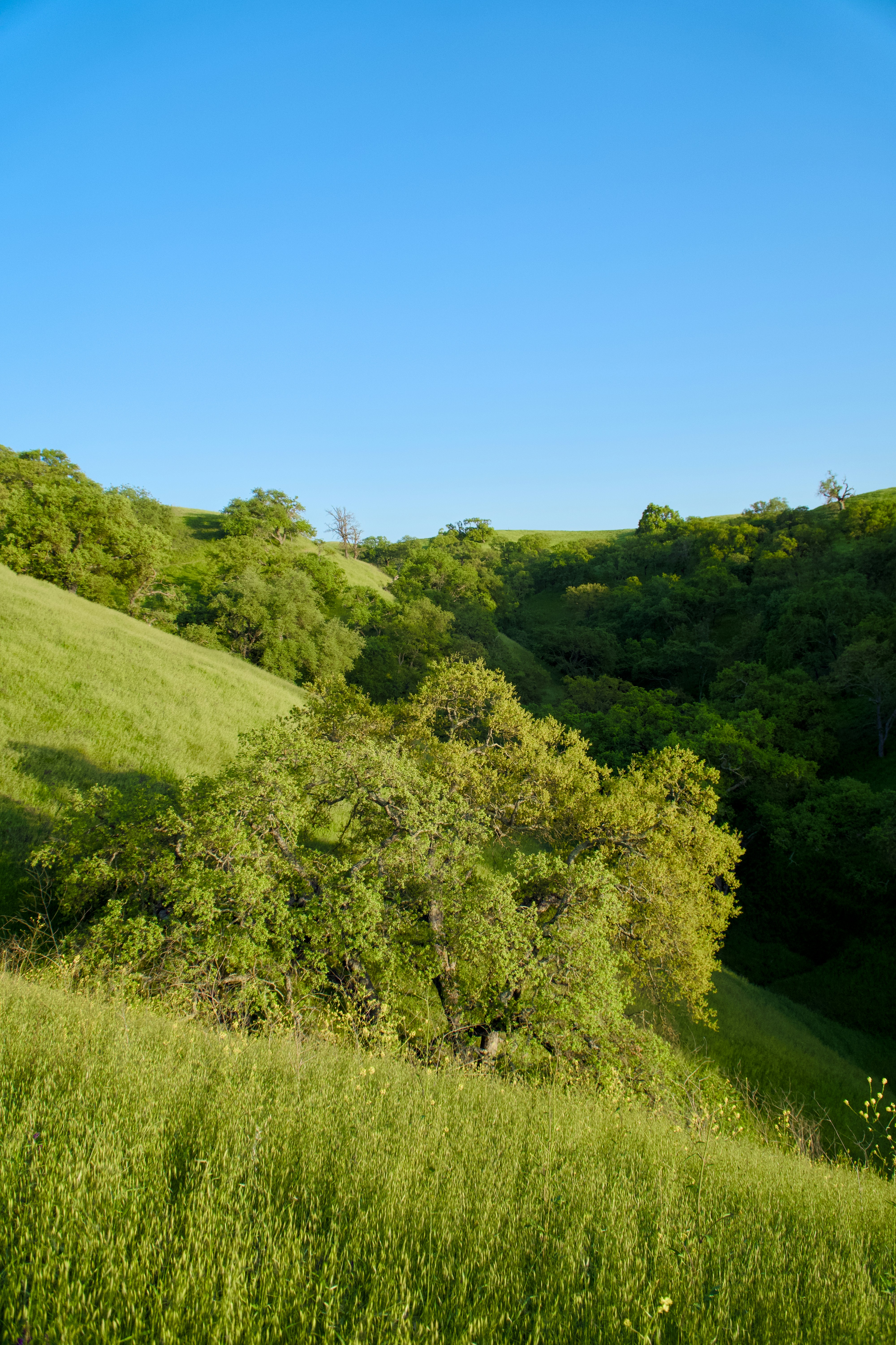 Photo by spencer_demera