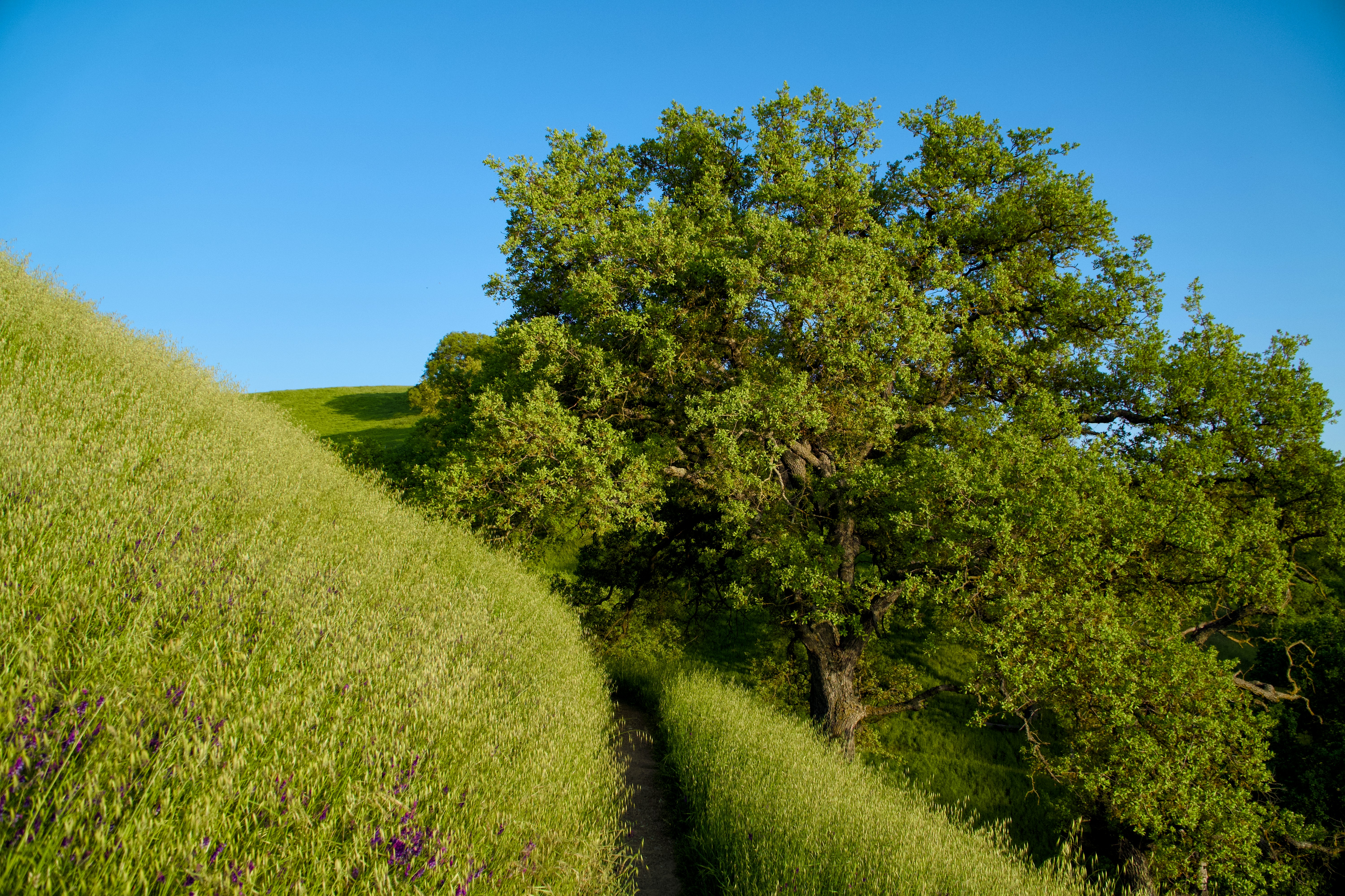 Photo by spencer_demera