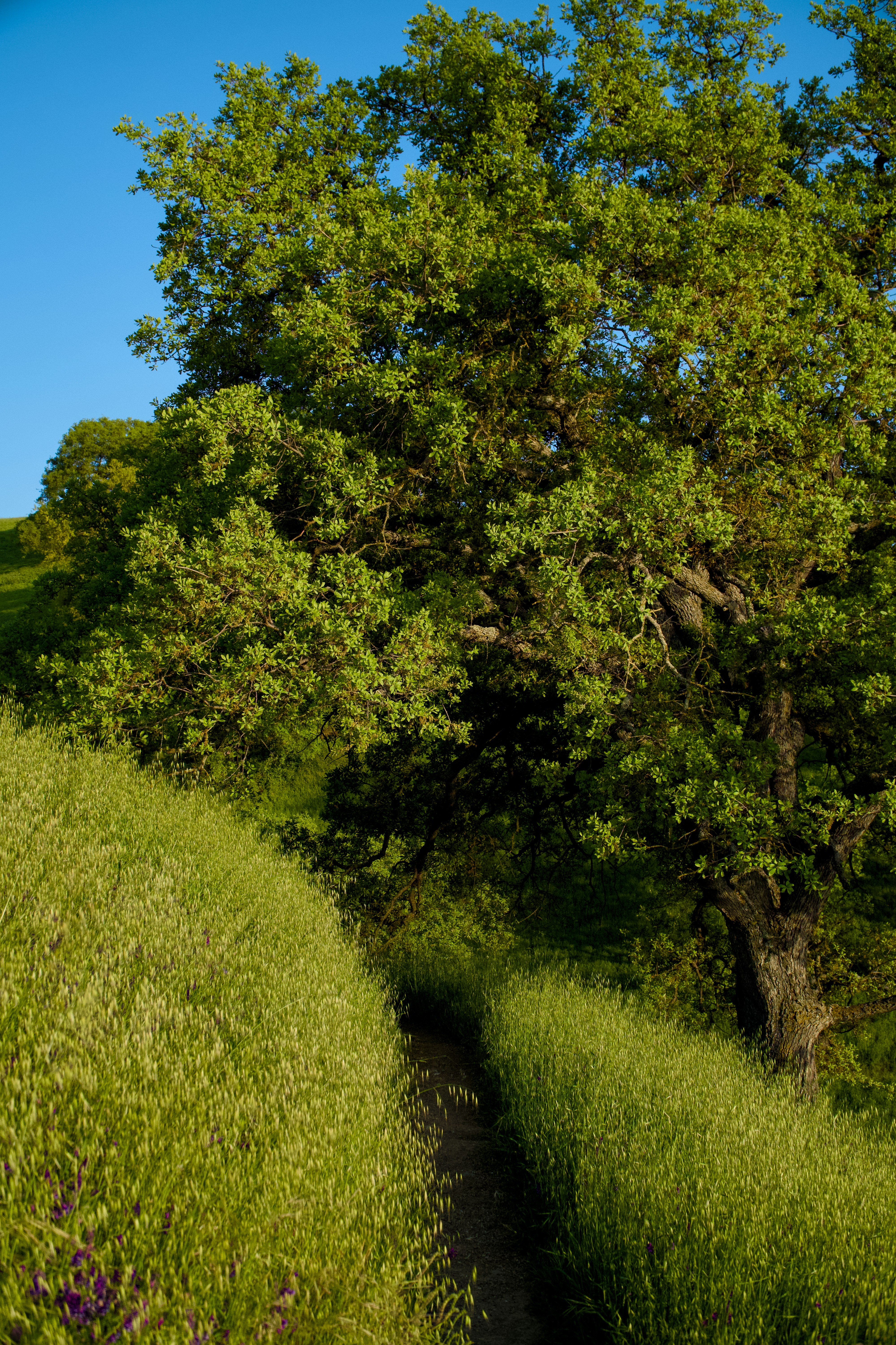 Photo by spencer_demera