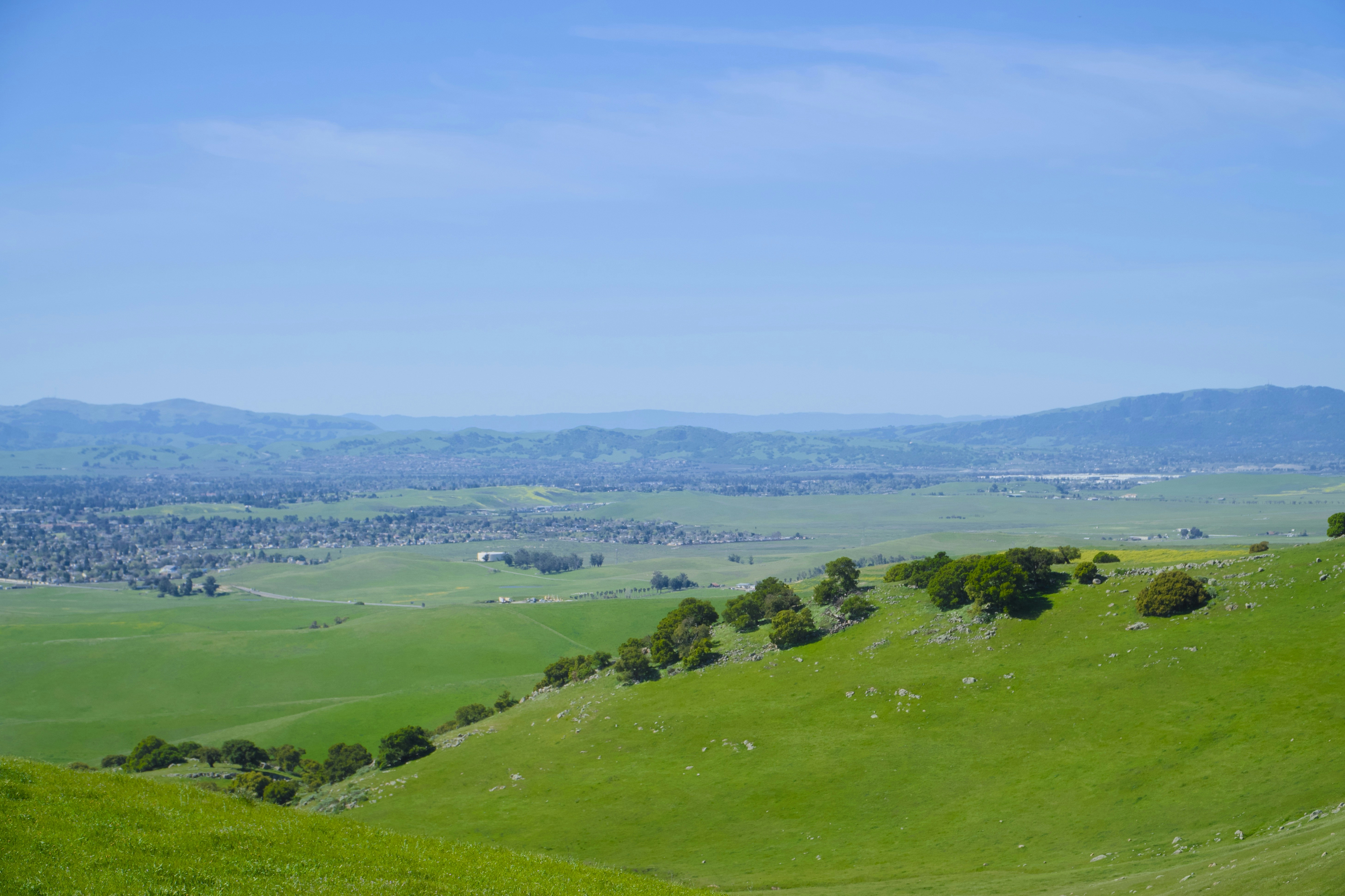 a vintage clipboard tied to a lamppost