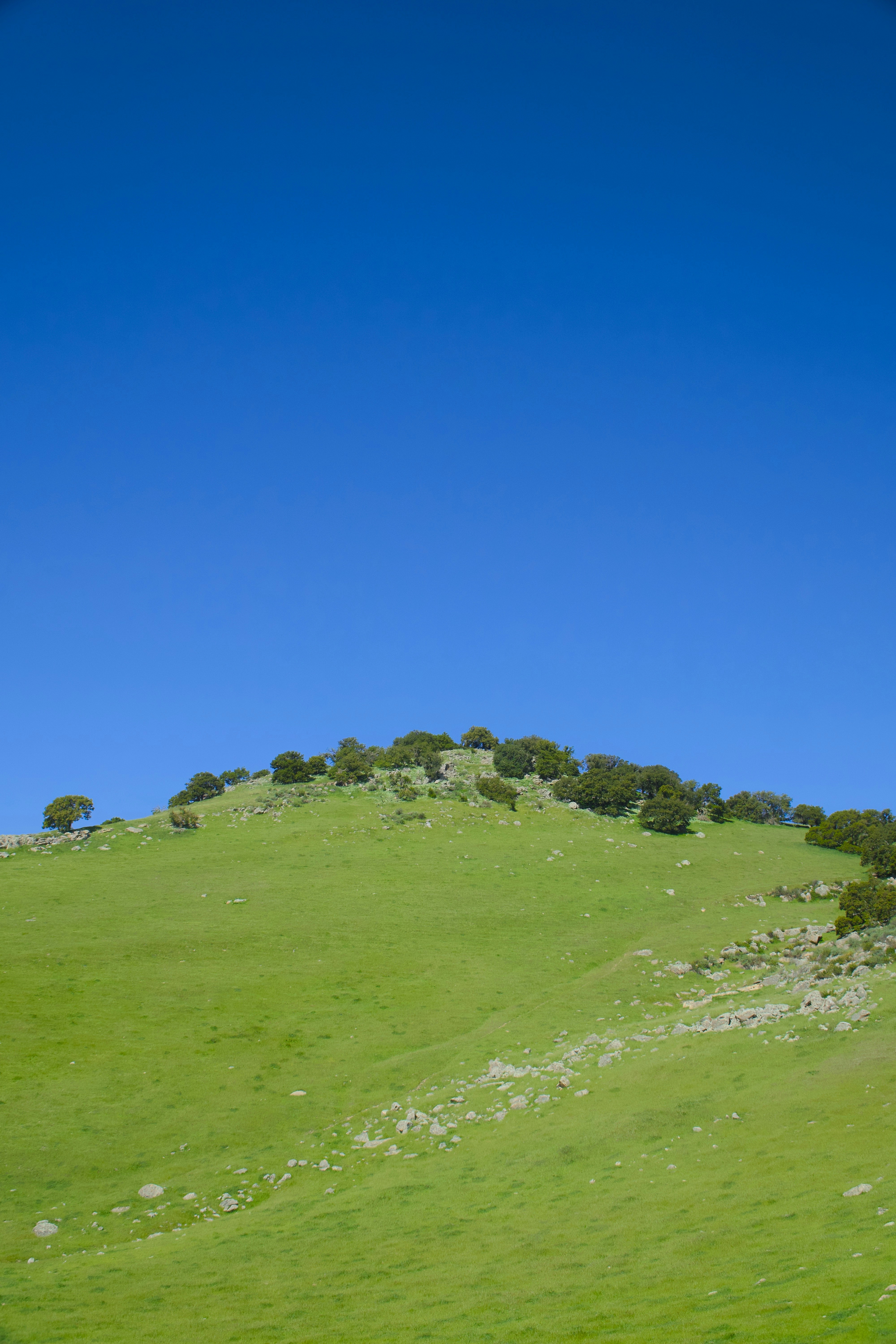 Photo by spencer_demera