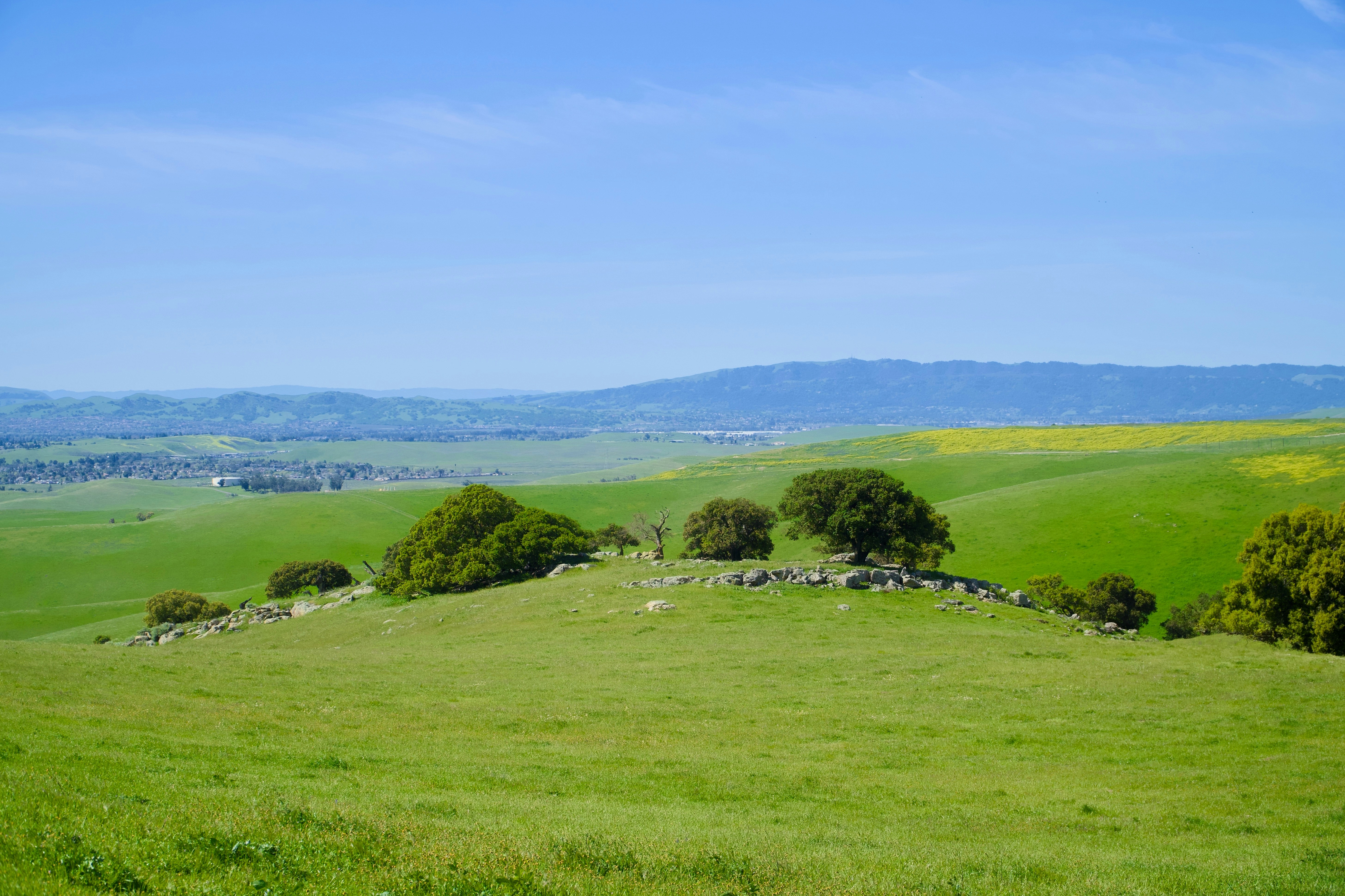 a cracked neon sign in the desert night