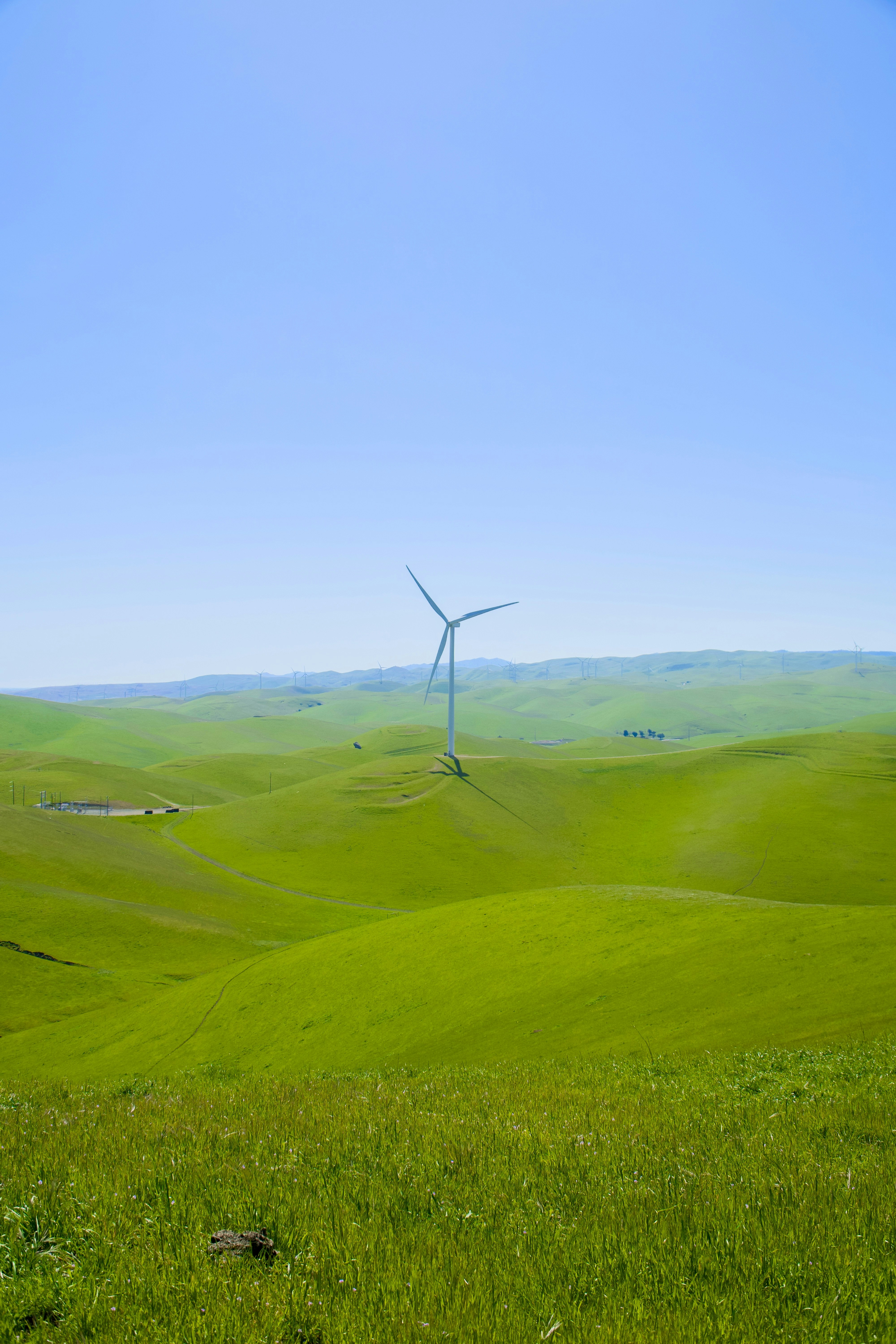 A wind turbine stands in a lush, green field.