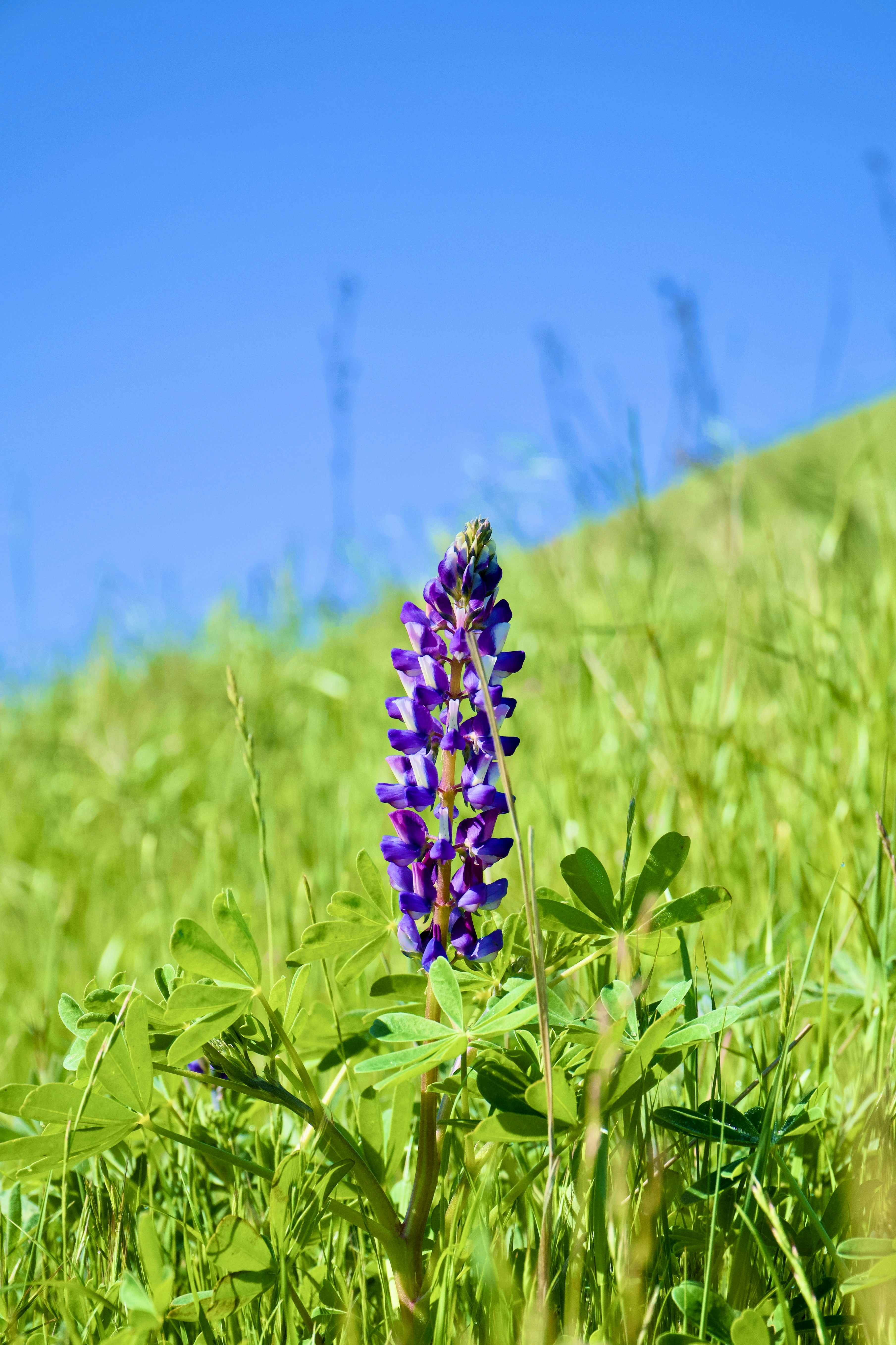 Photo by spencer_demera