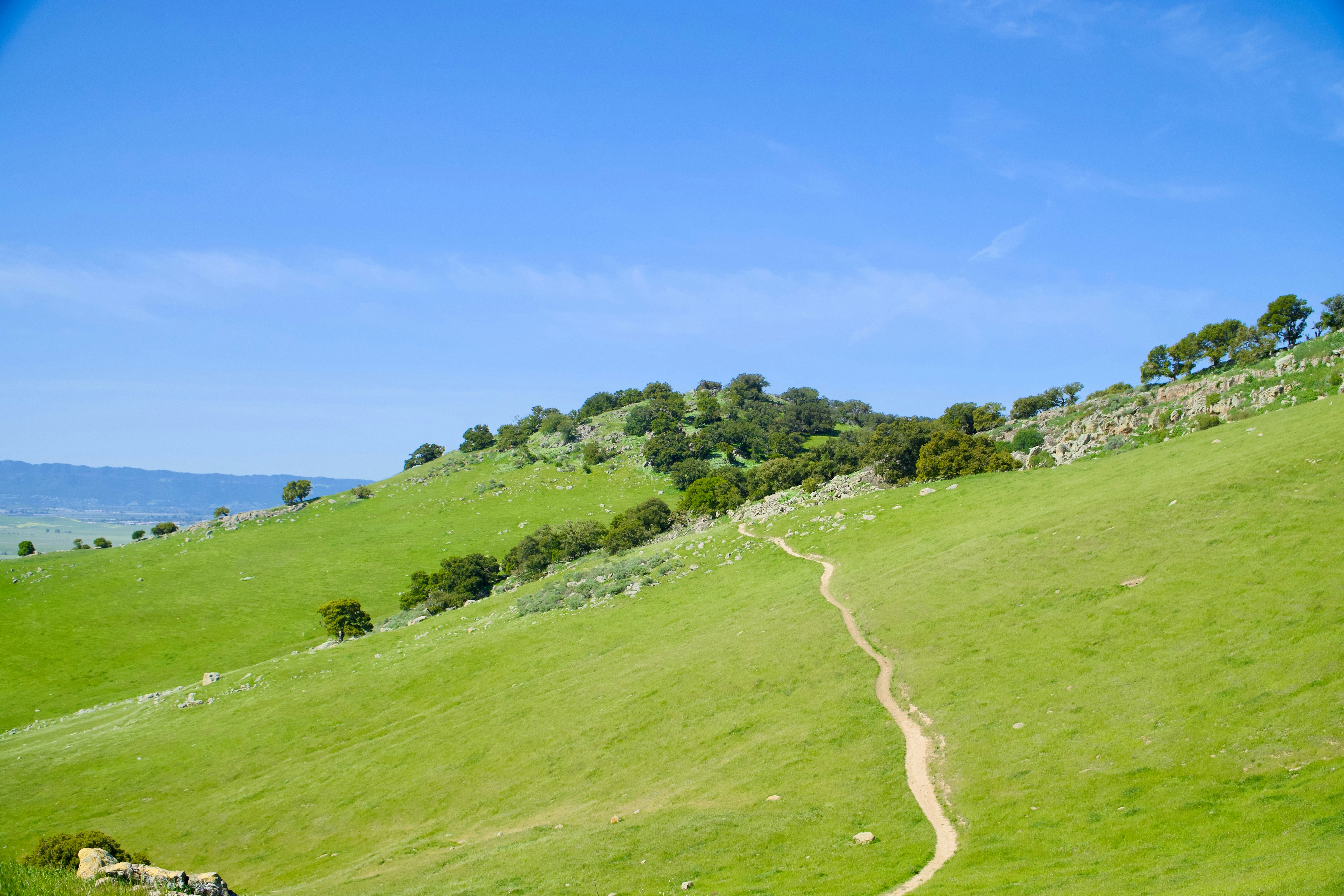 🎗️北海道から朝陽が彩る美しい花咲く風景 【目覚めの刻】 青空広がる早朝、朝陽を浴びる桜達が 目覚めたように見えた景色でした。 撮影場所: 北海道  伊達市 撮影日時: 2025.5.1 AM5:20 写真提供者:前川雅英 *️⃣⤴︎ ⤴︎シェア⤴︎ ⤴︎大歓迎 #1week風景 #北海道の ..., image size:3000x2000