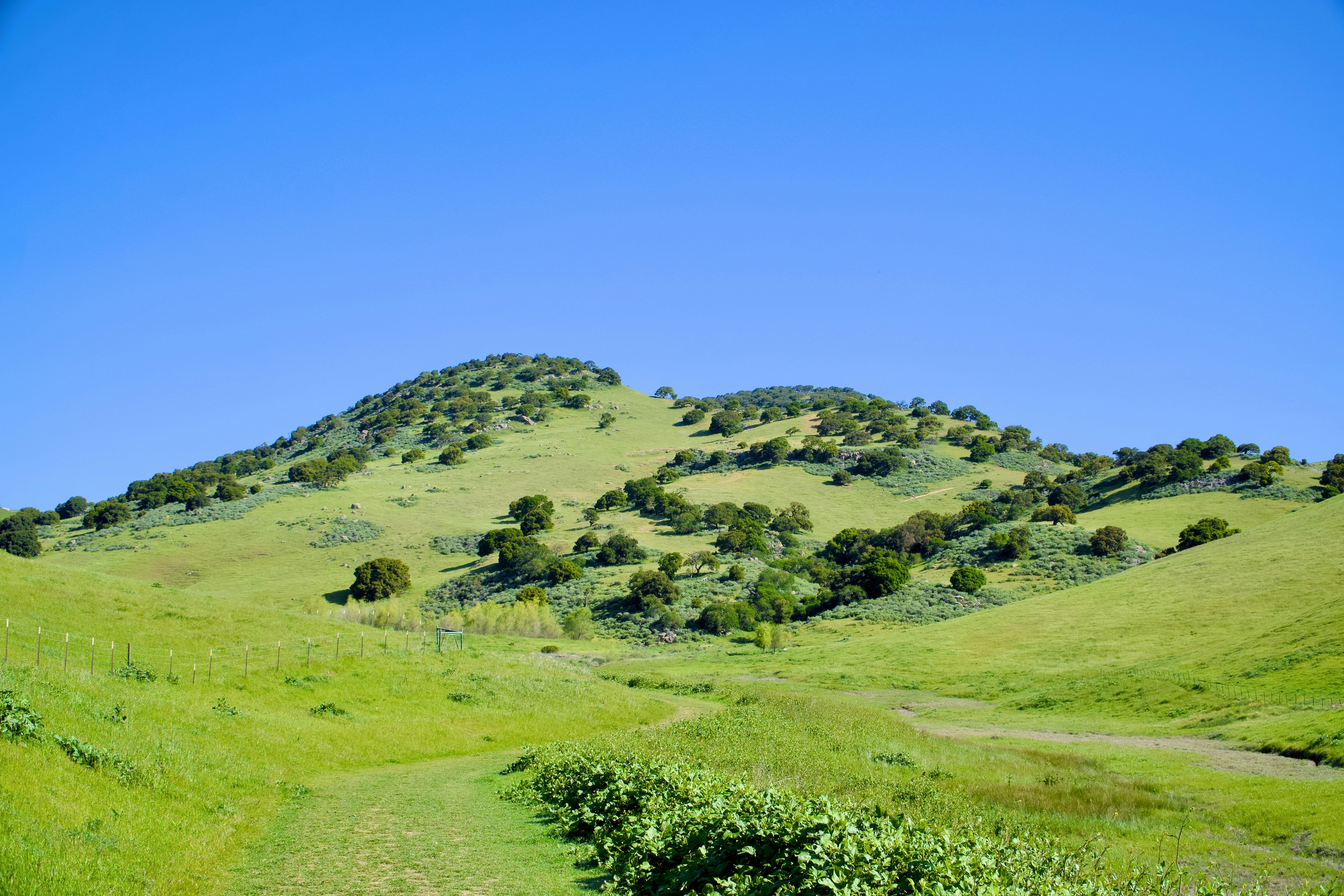 Photo by spencer_demera