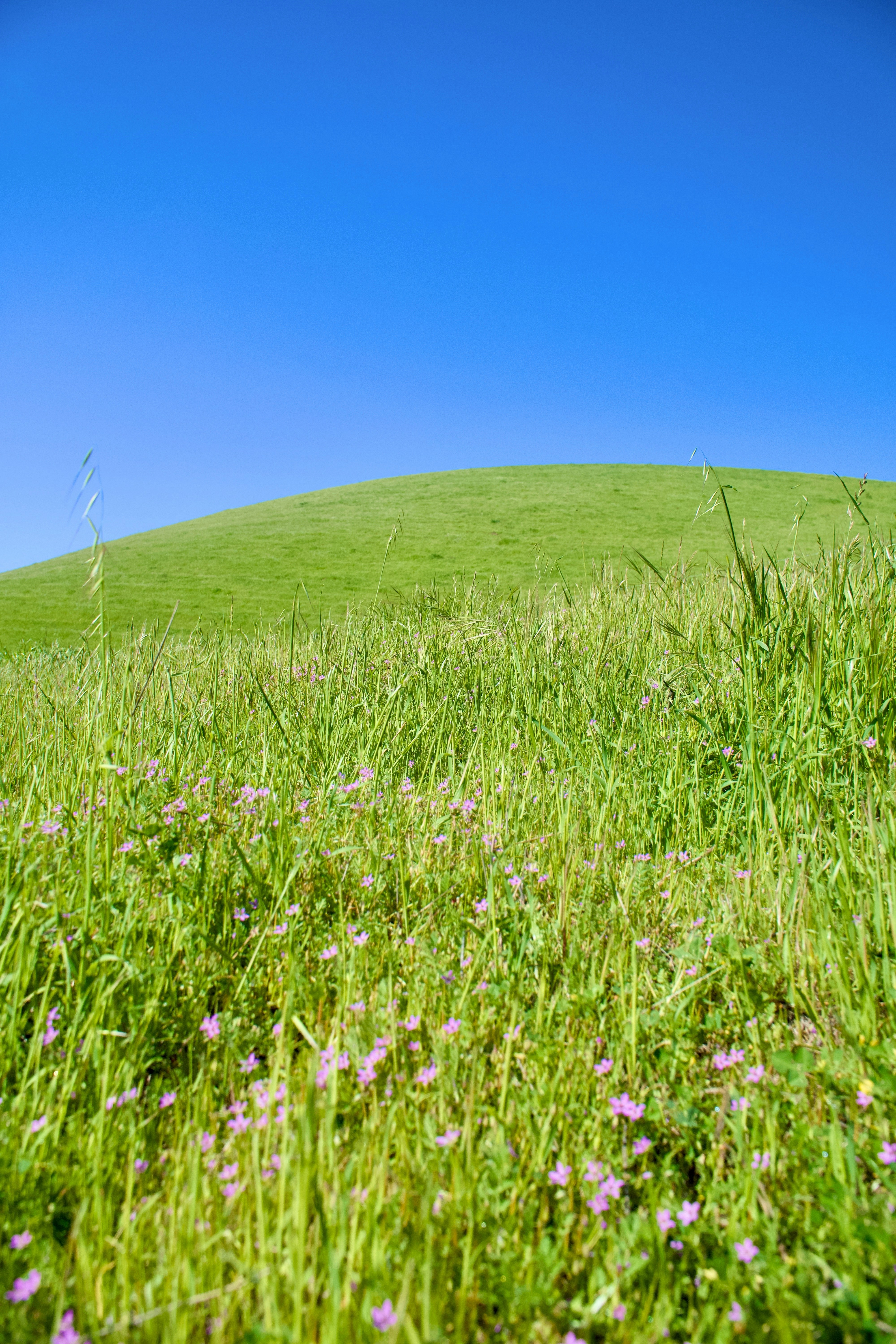 Photo by spencer_demera