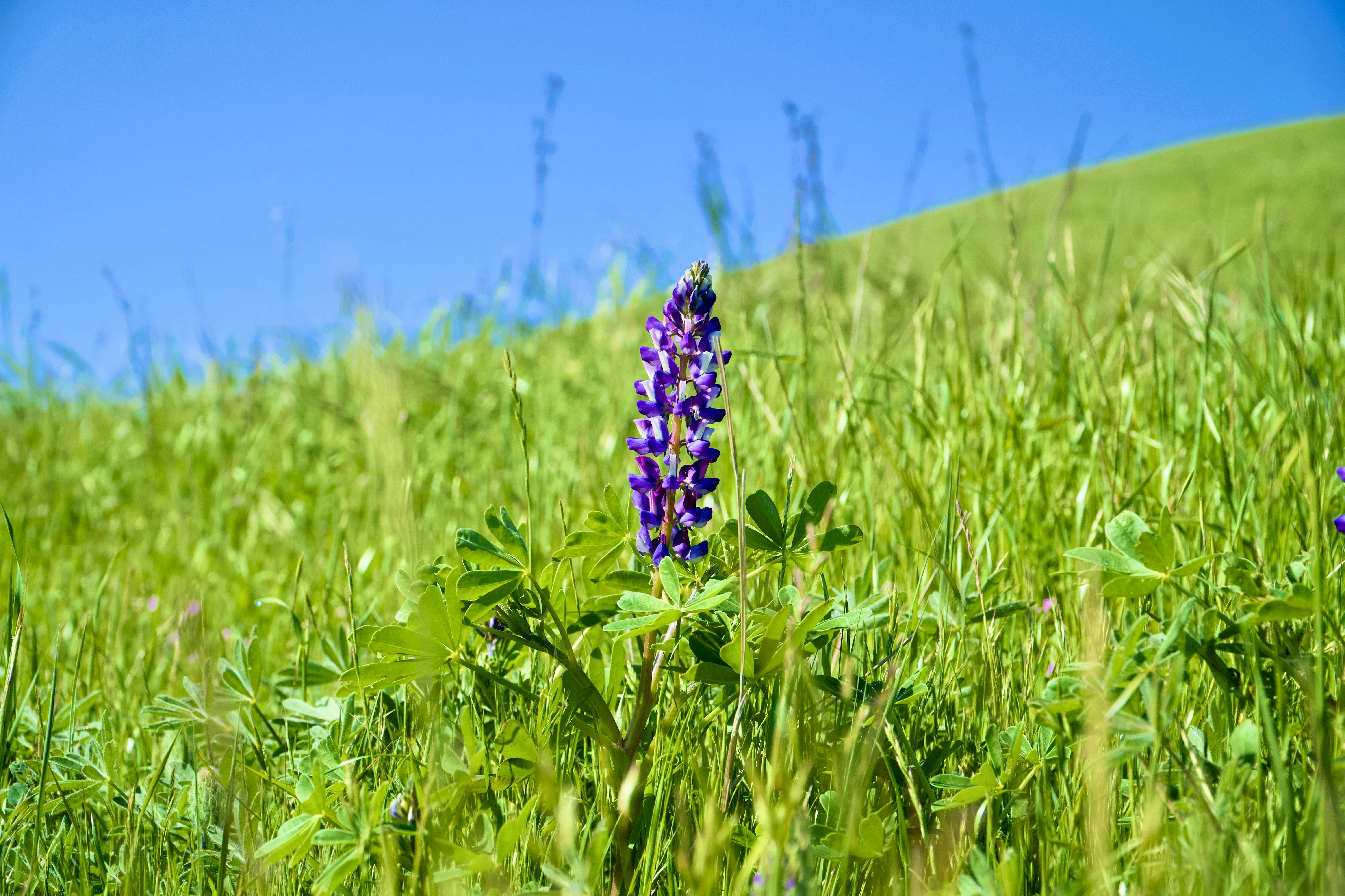 Photo by spencer_demera