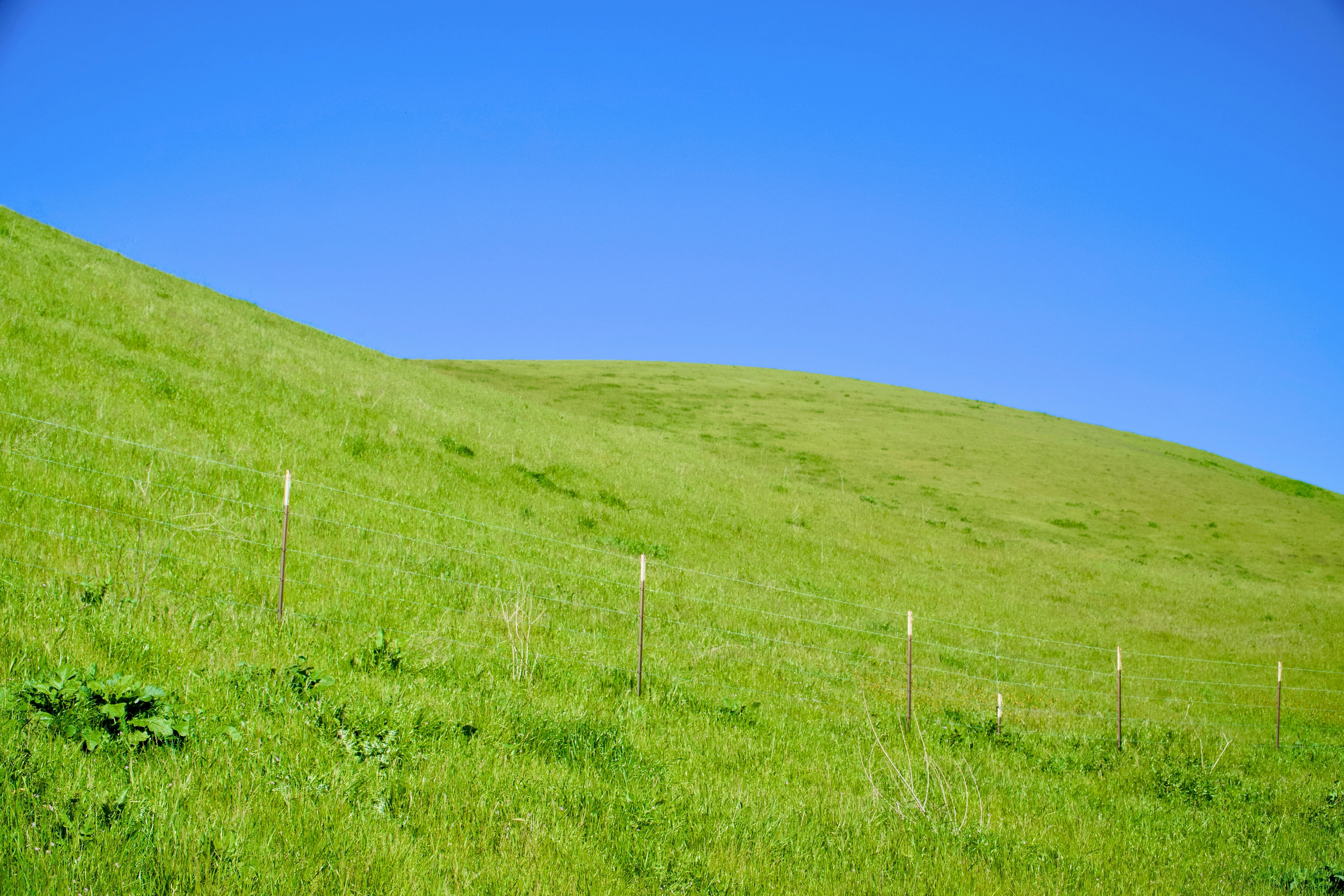 Photo by spencer_demera