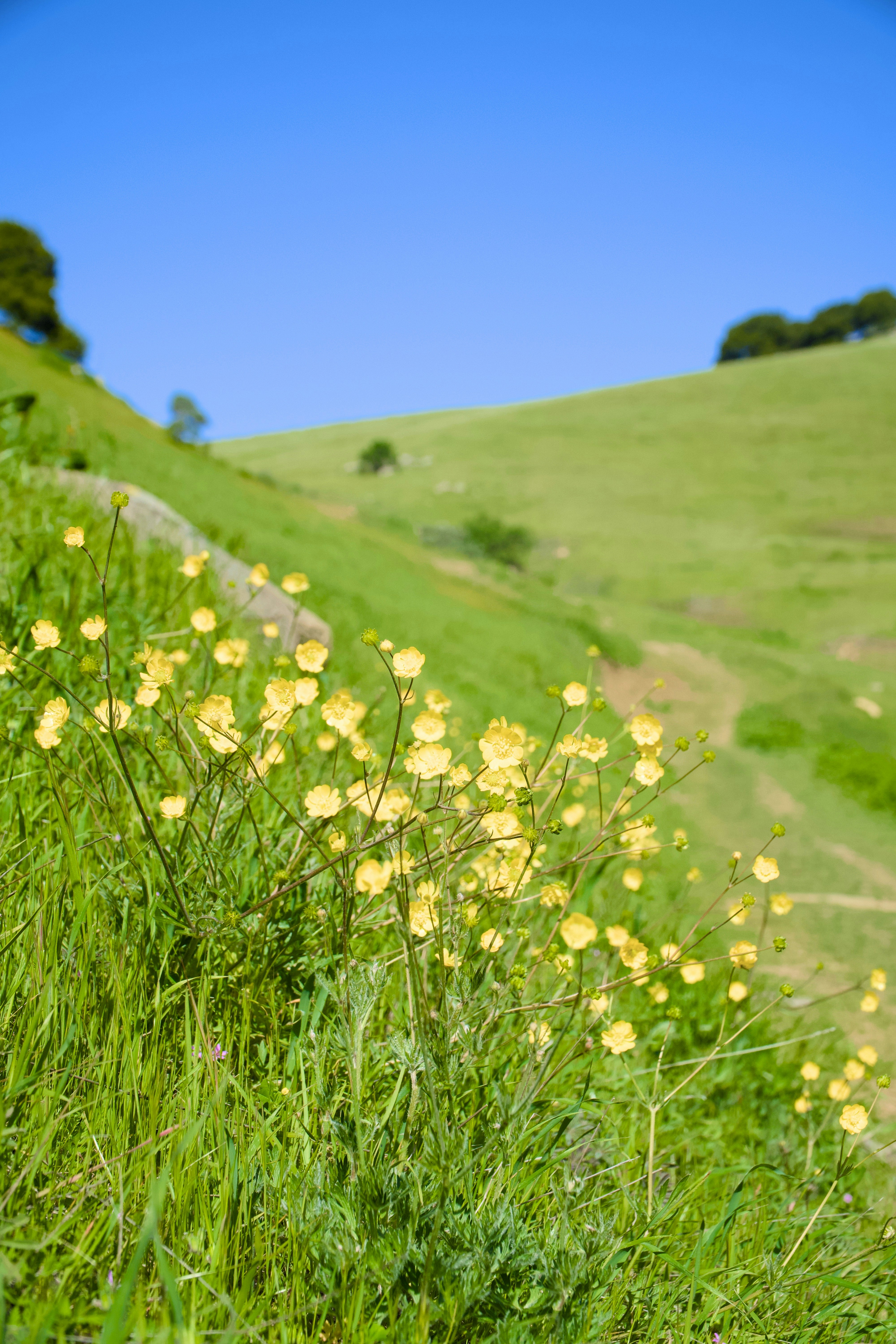 Photo by spencer_demera