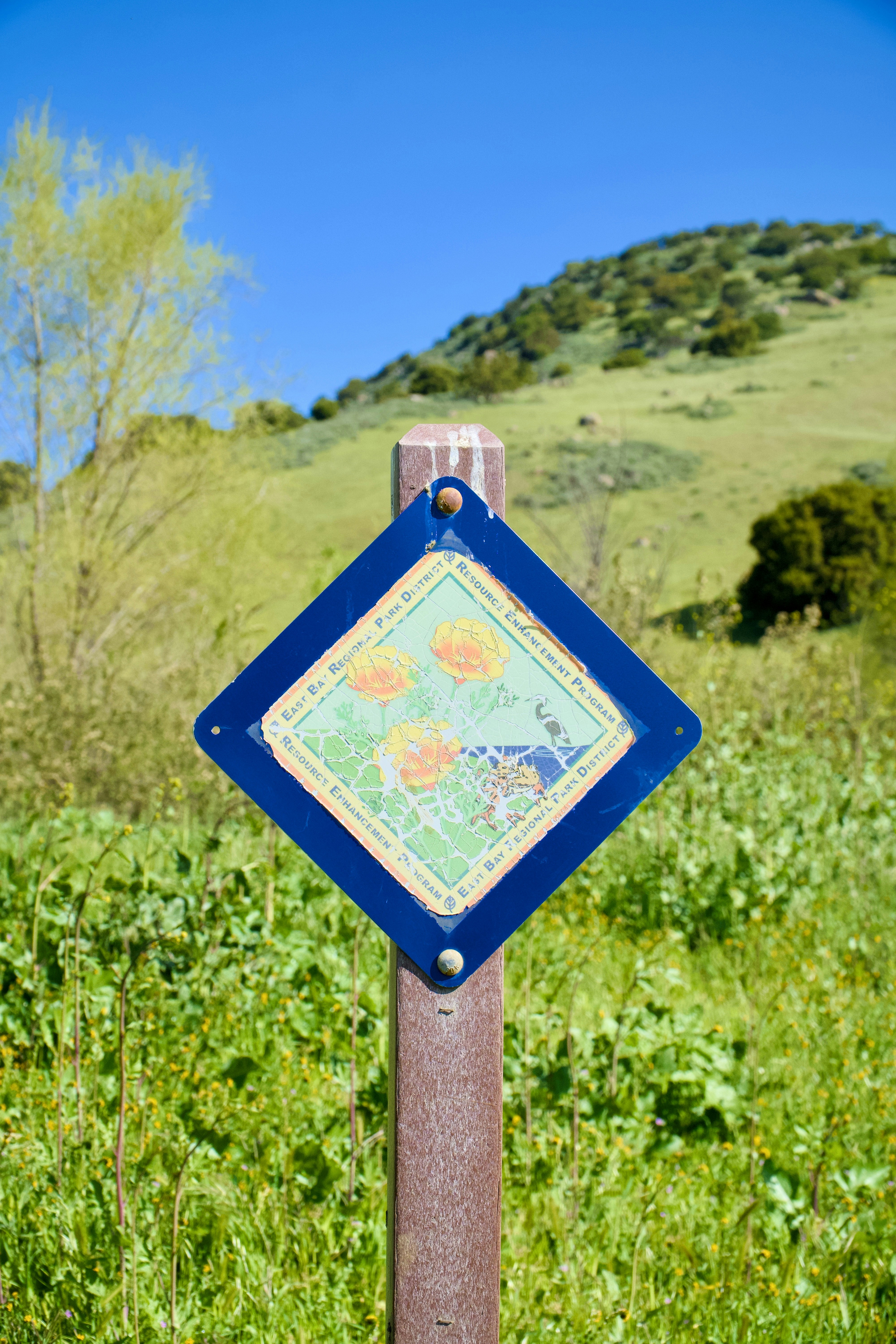 Sign points the way on a vibrant hillside.