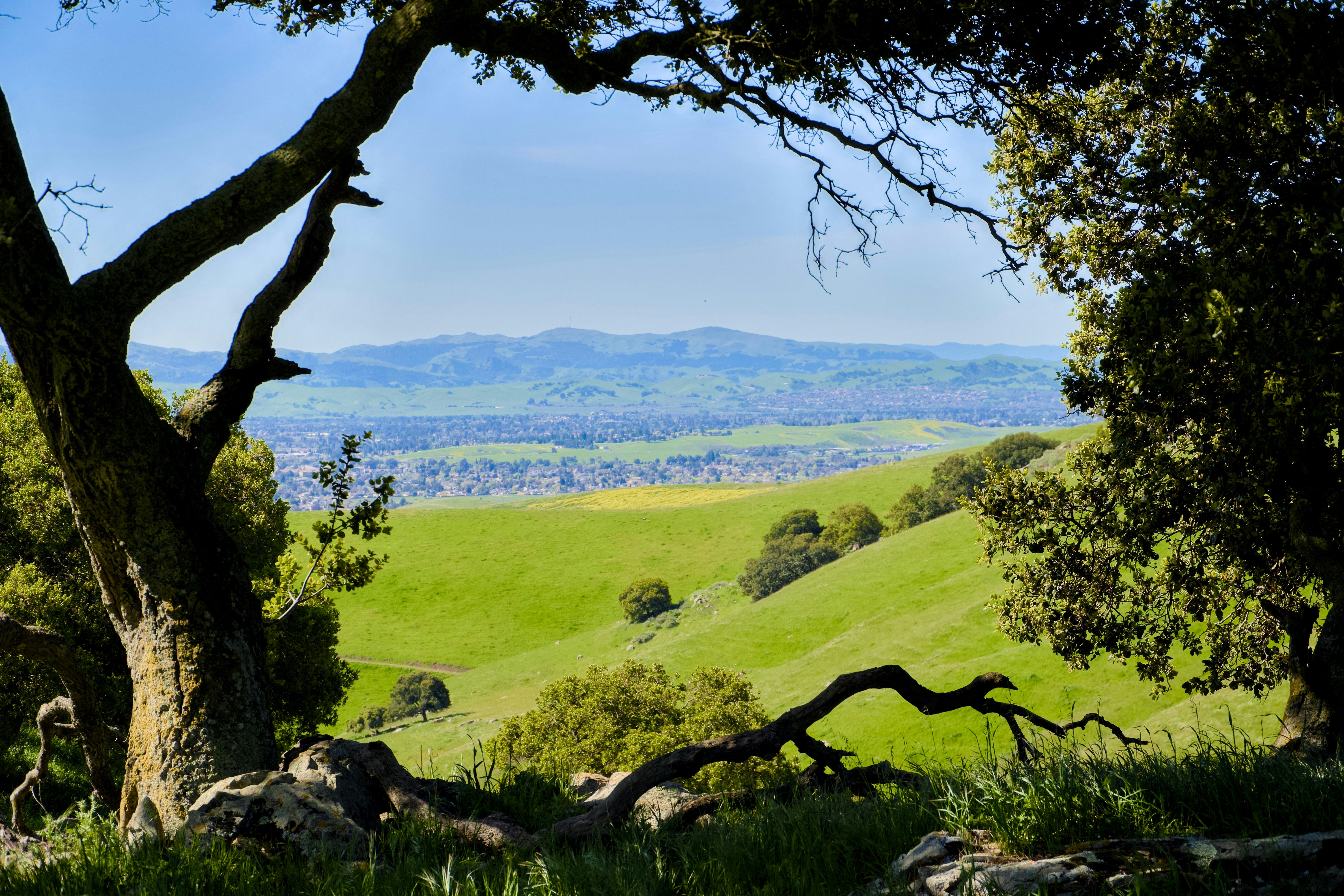 Morgan Hill, California