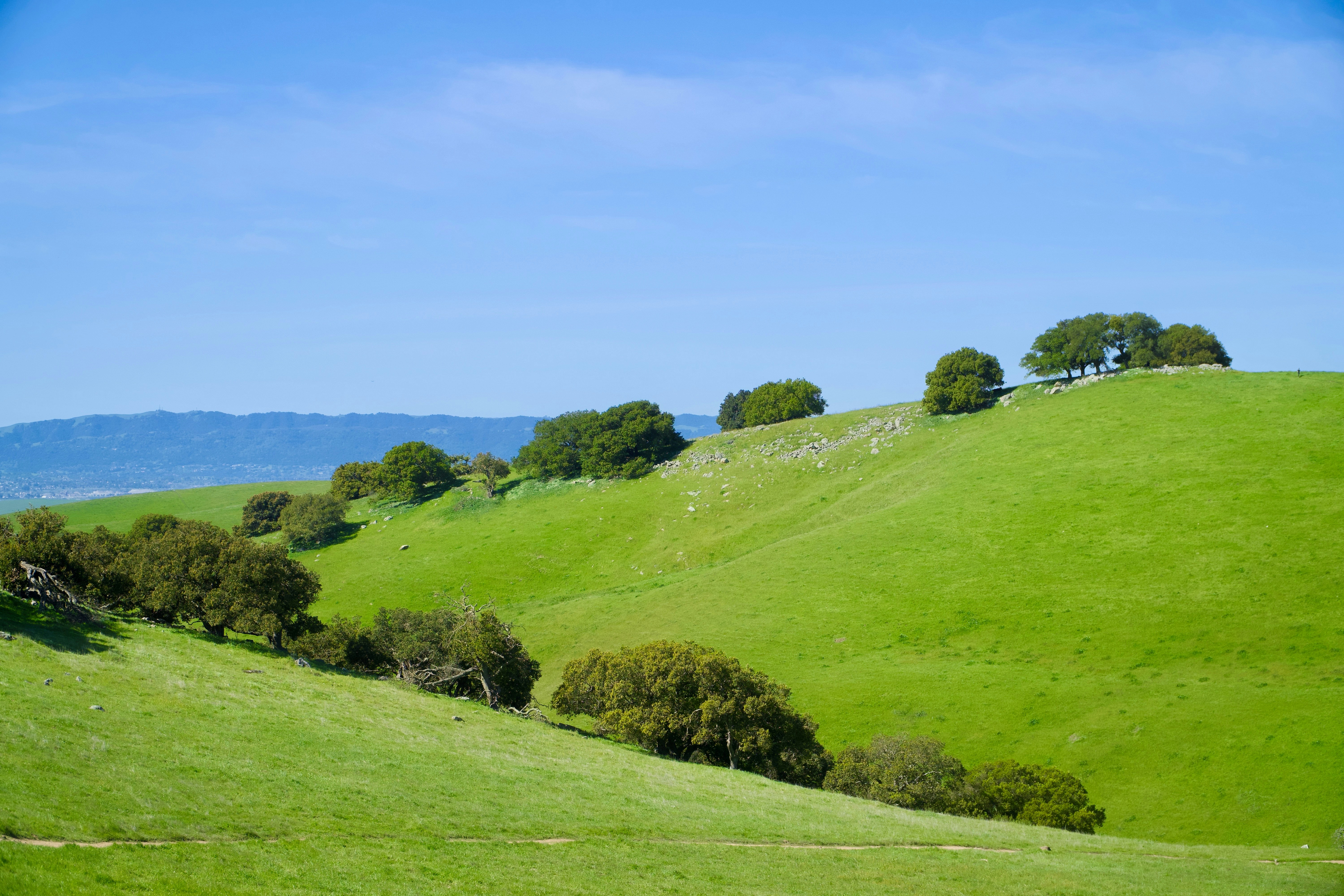 Photo by spencer_demera