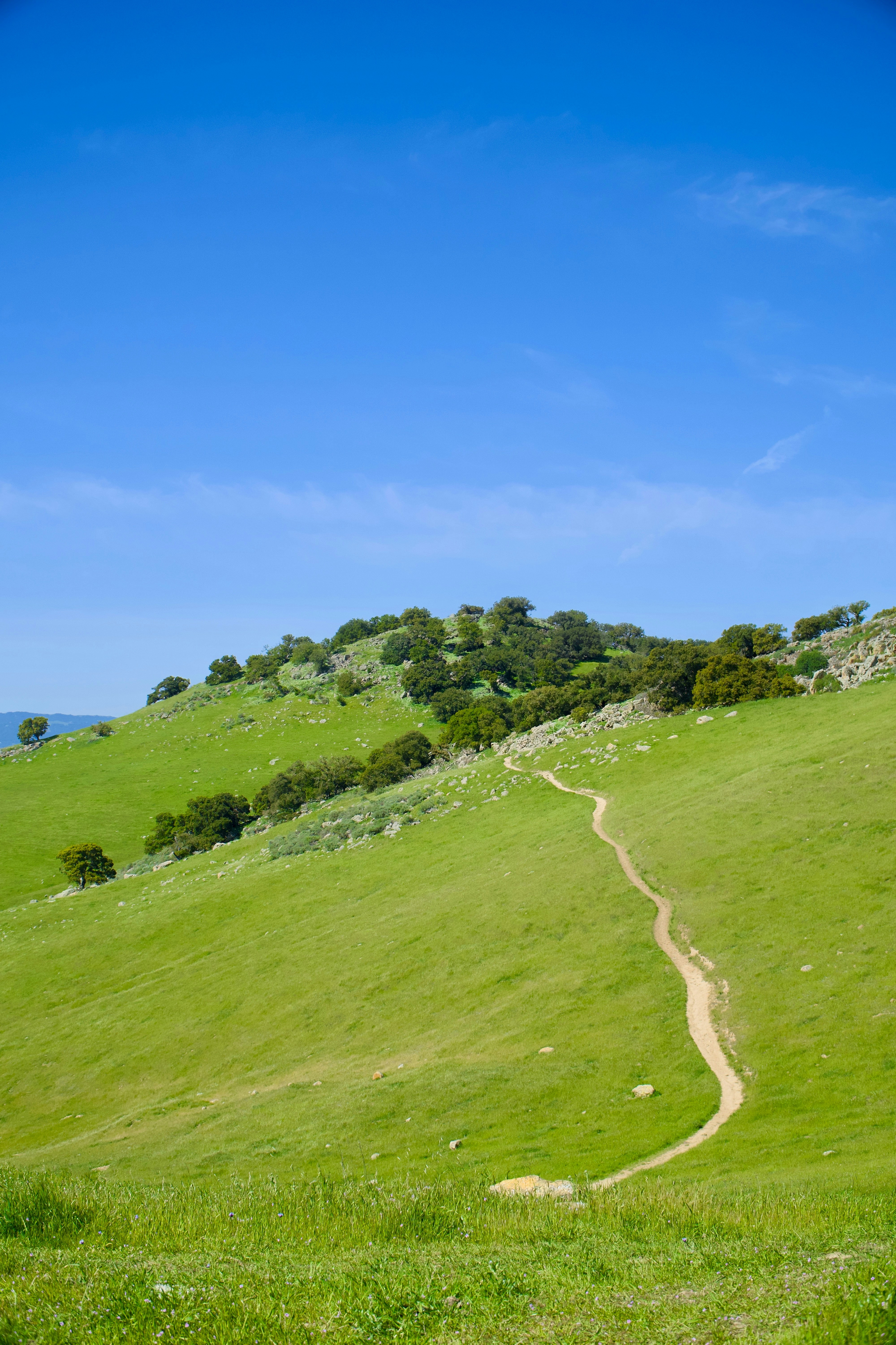 Photo by spencer_demera