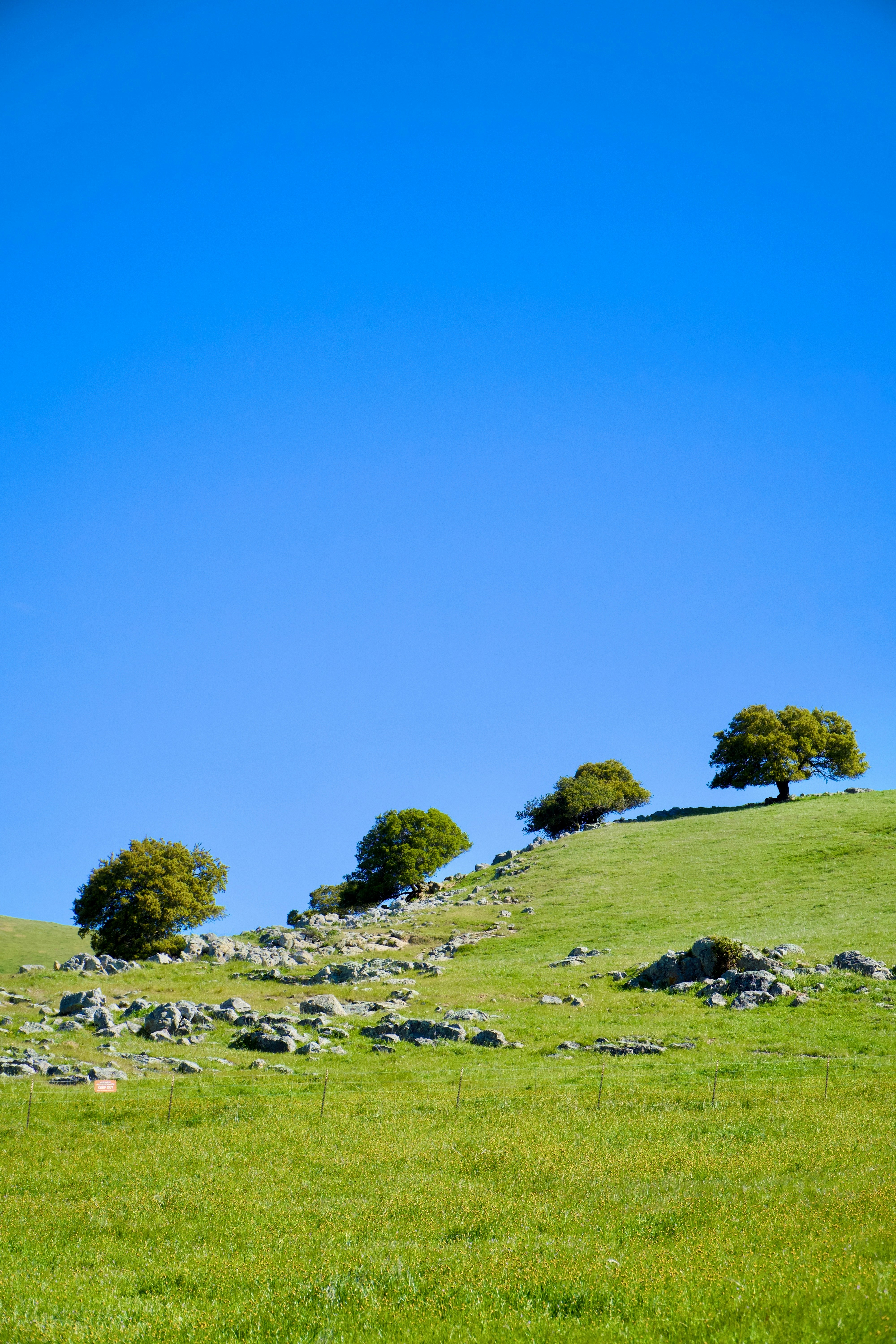 Photo by spencer_demera