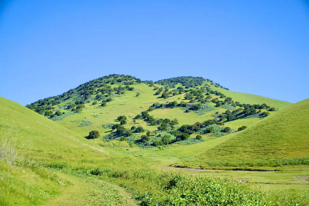 Green hills and vibrant grass under a blue sky