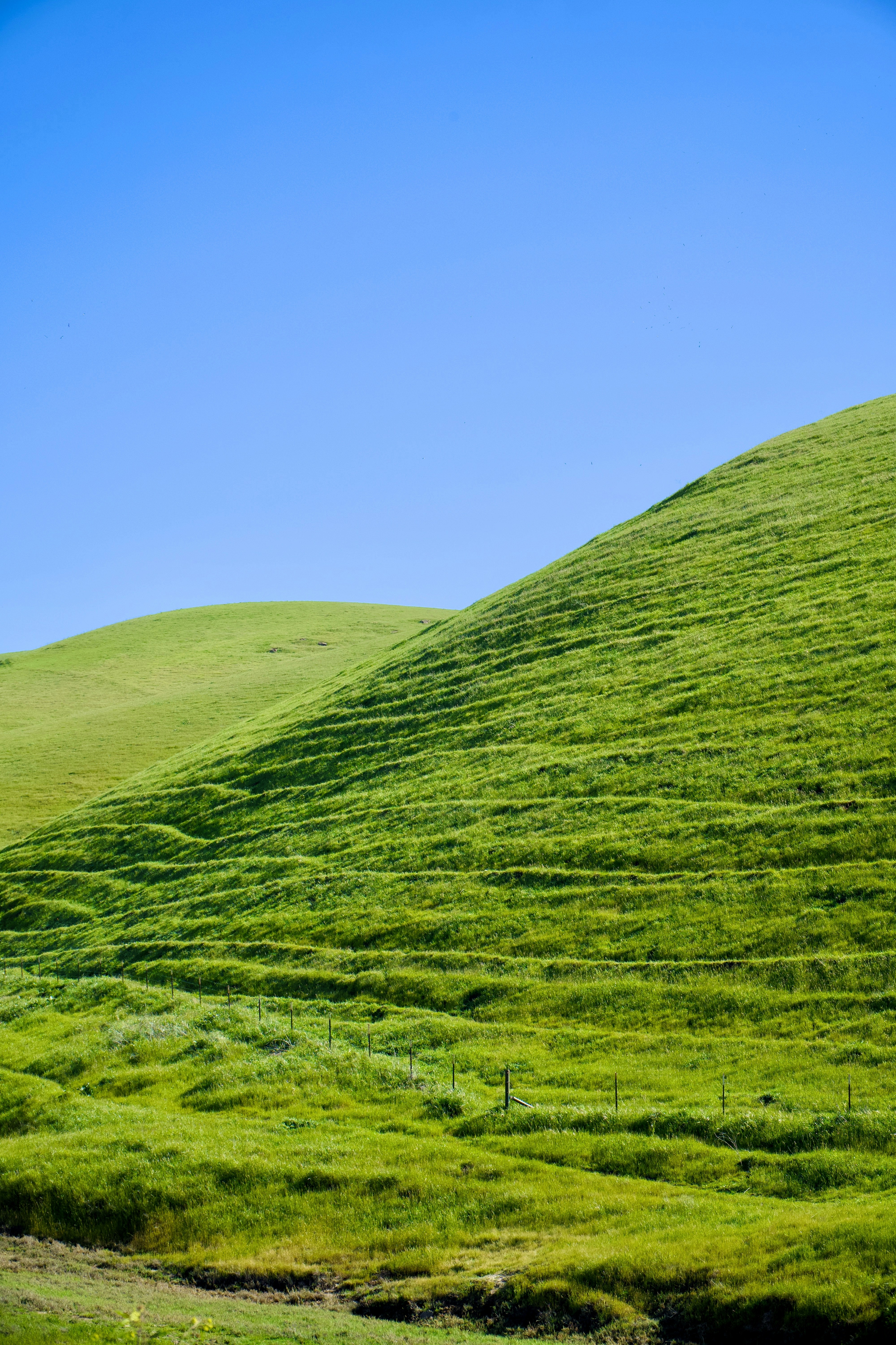 Photo by spencer_demera