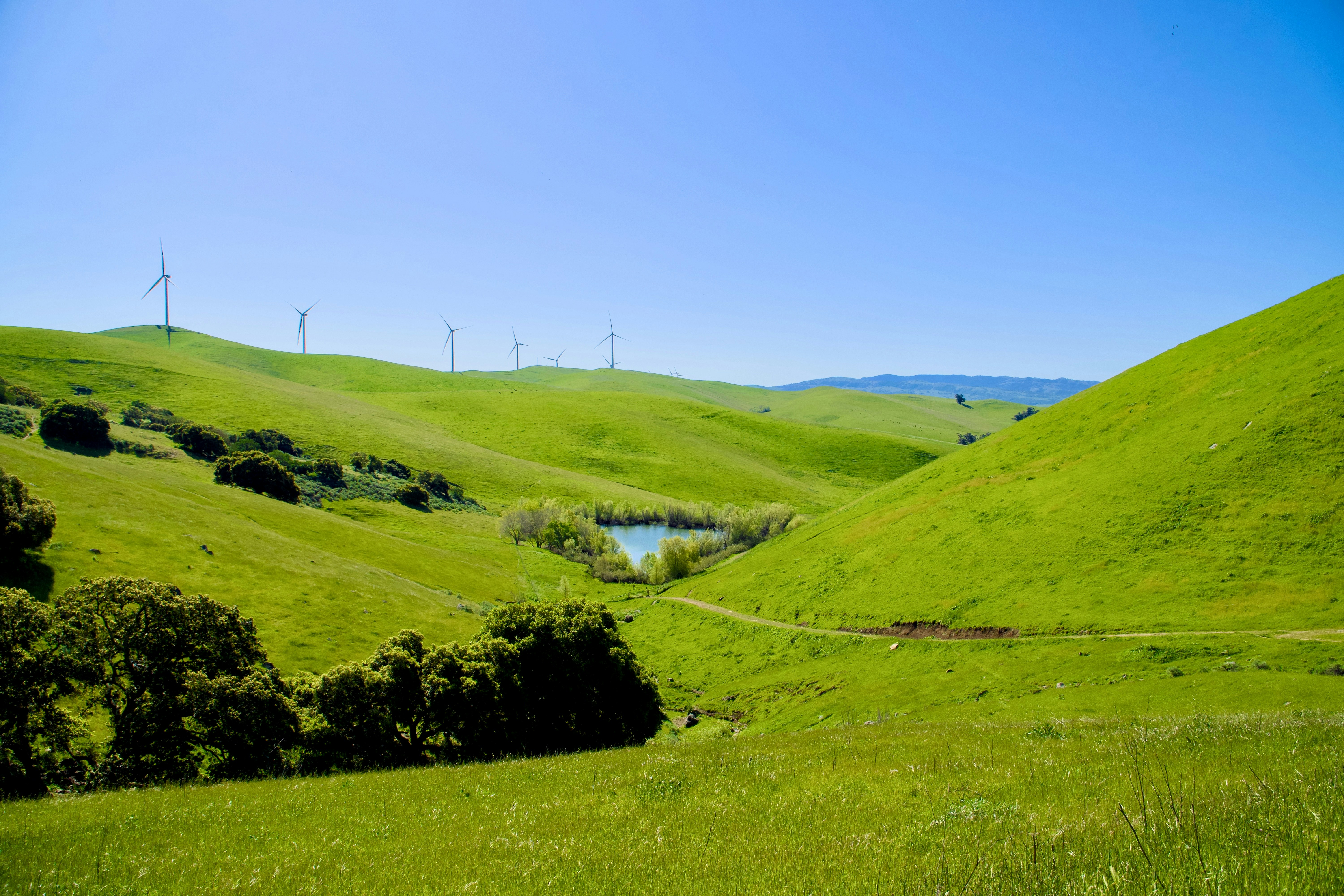 Photo by spencer_demera