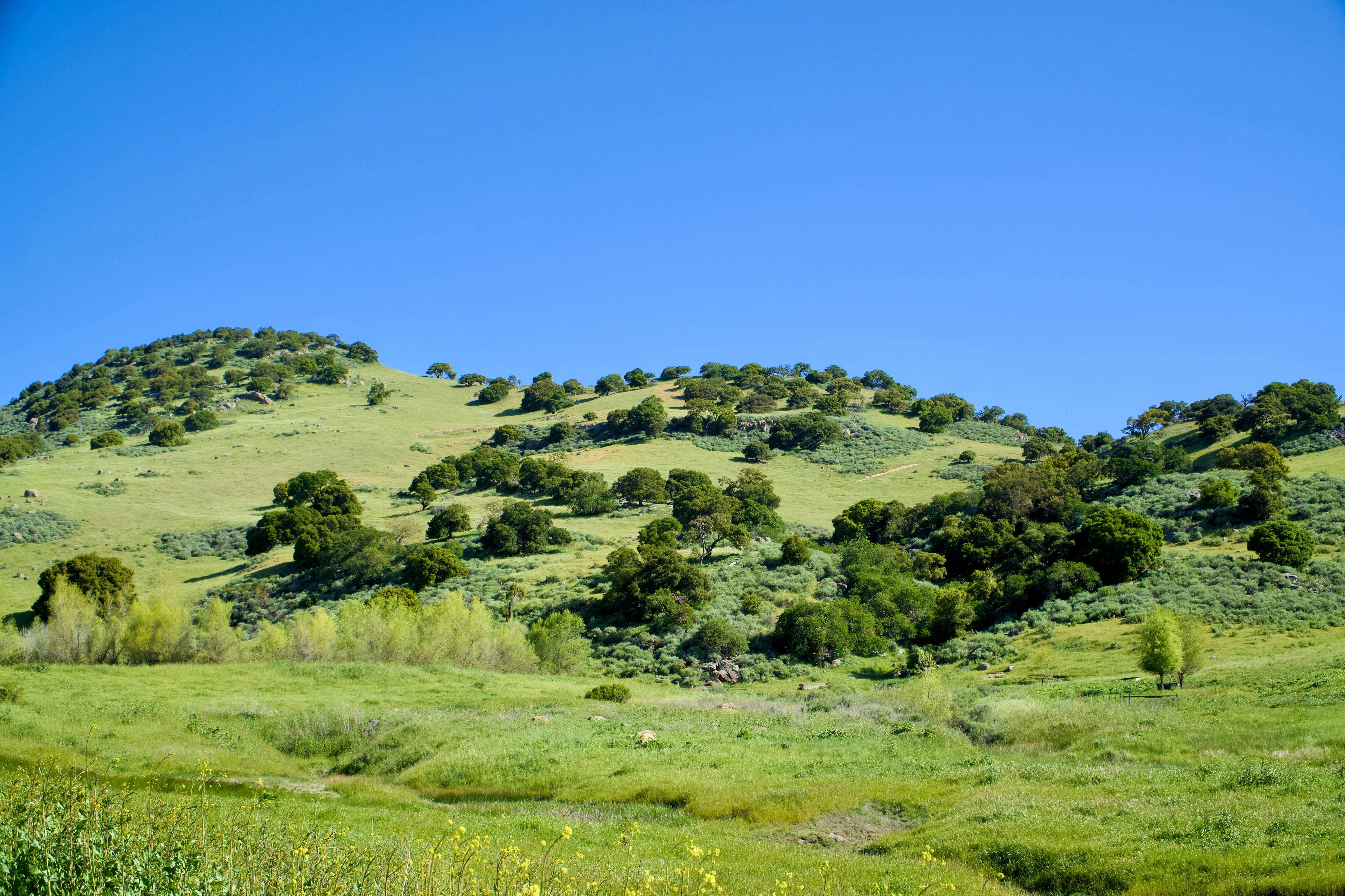 Photo by spencer_demera