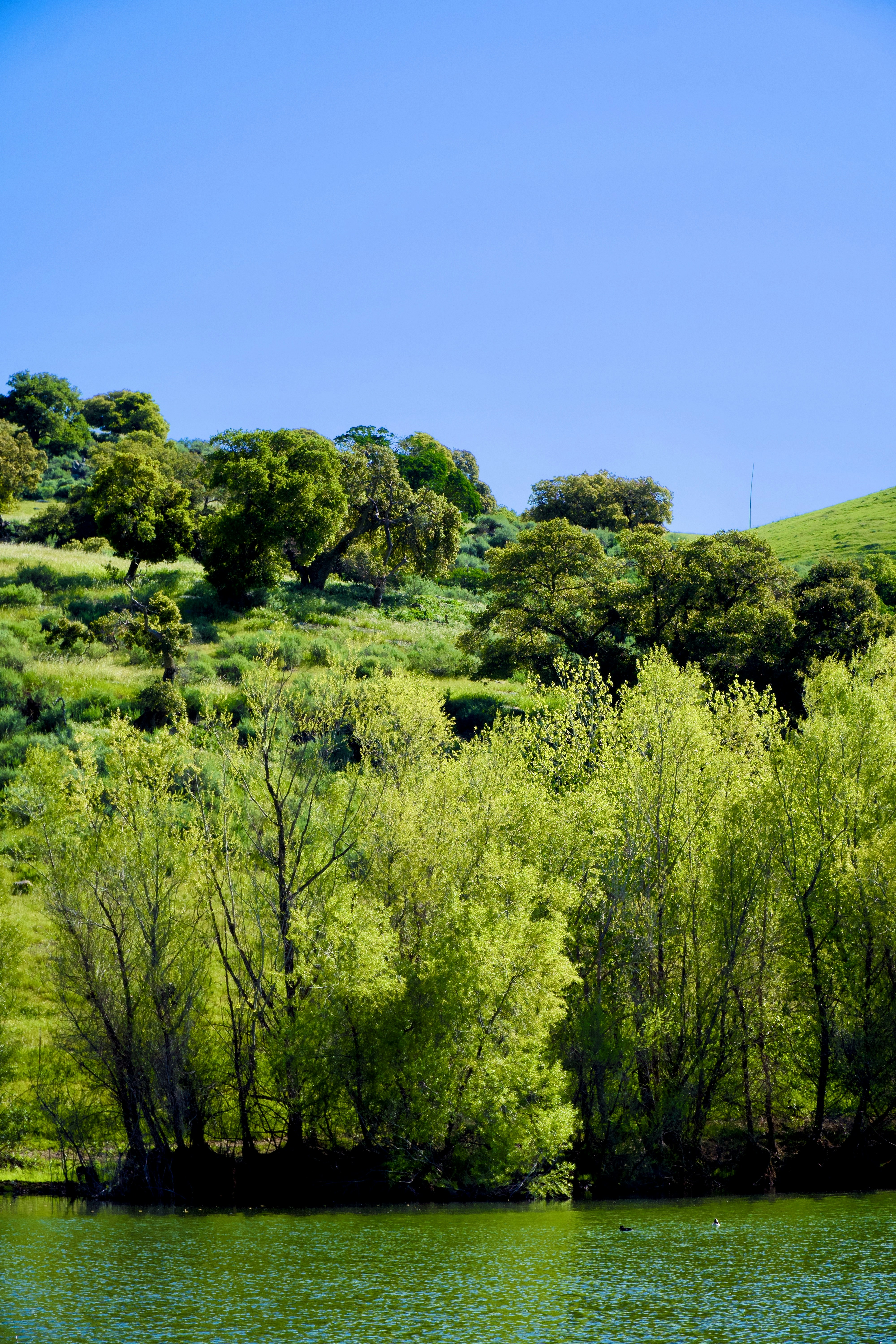 Photo by spencer_demera