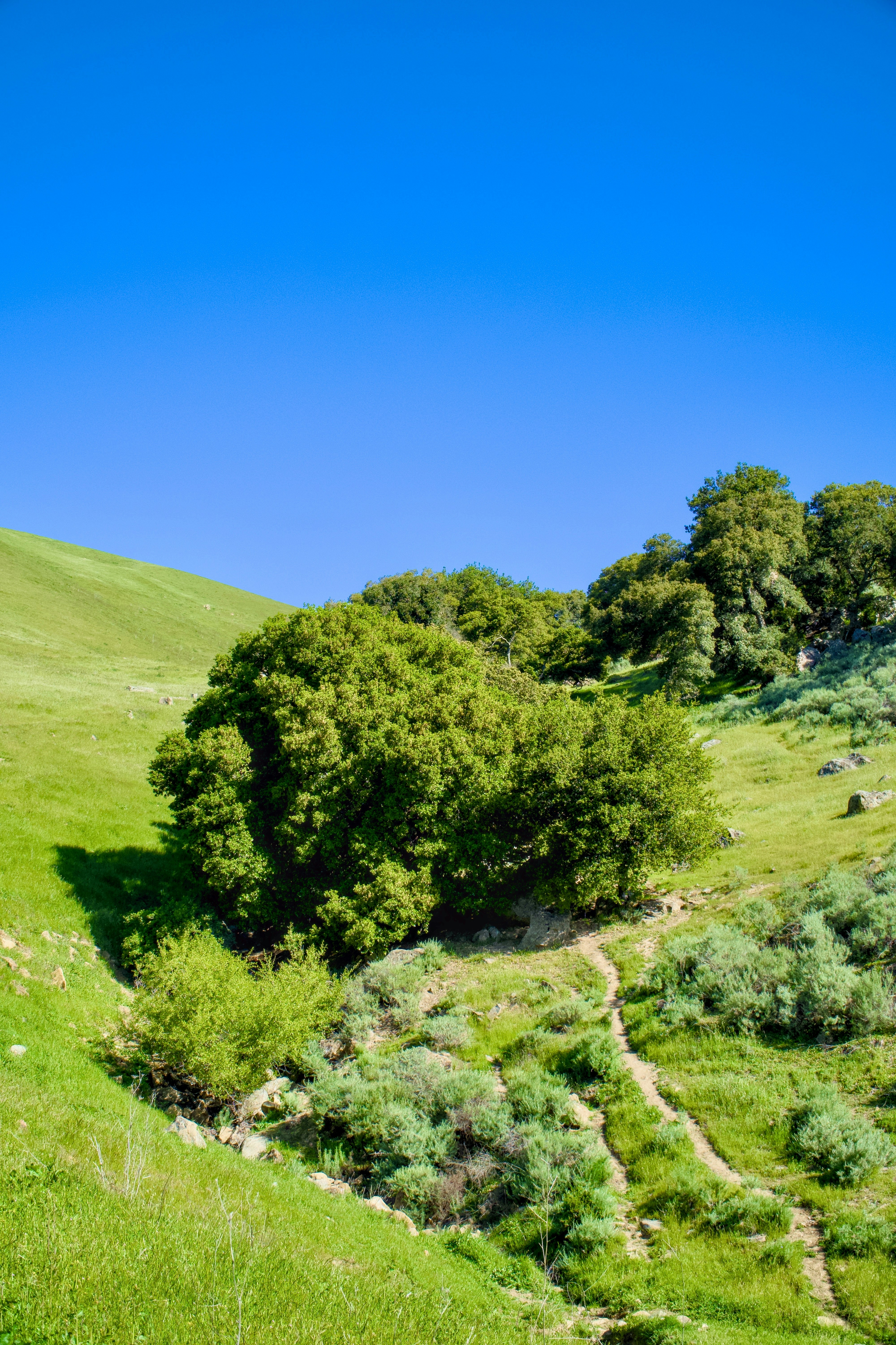 Photo by spencer_demera