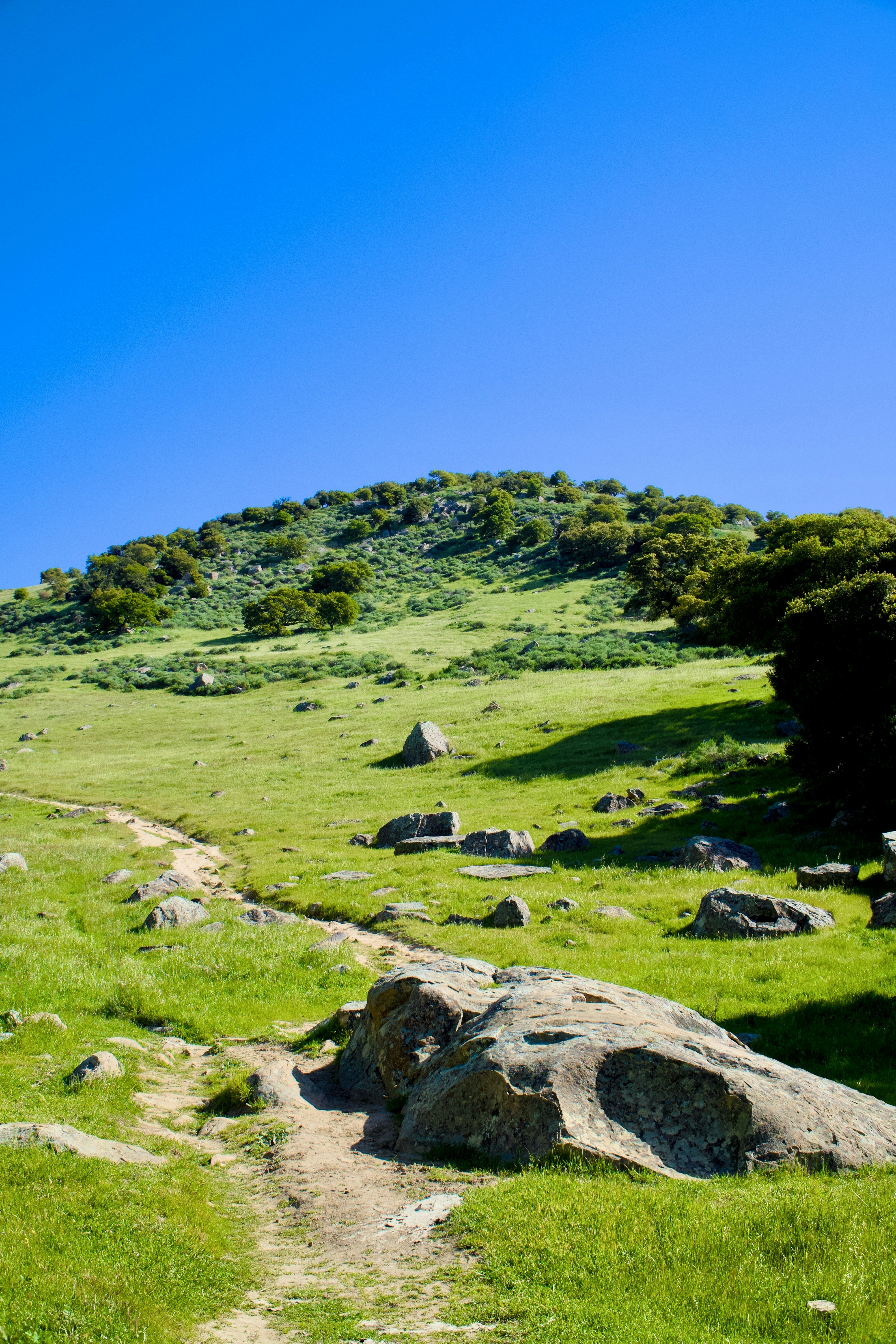 Photo by spencer_demera