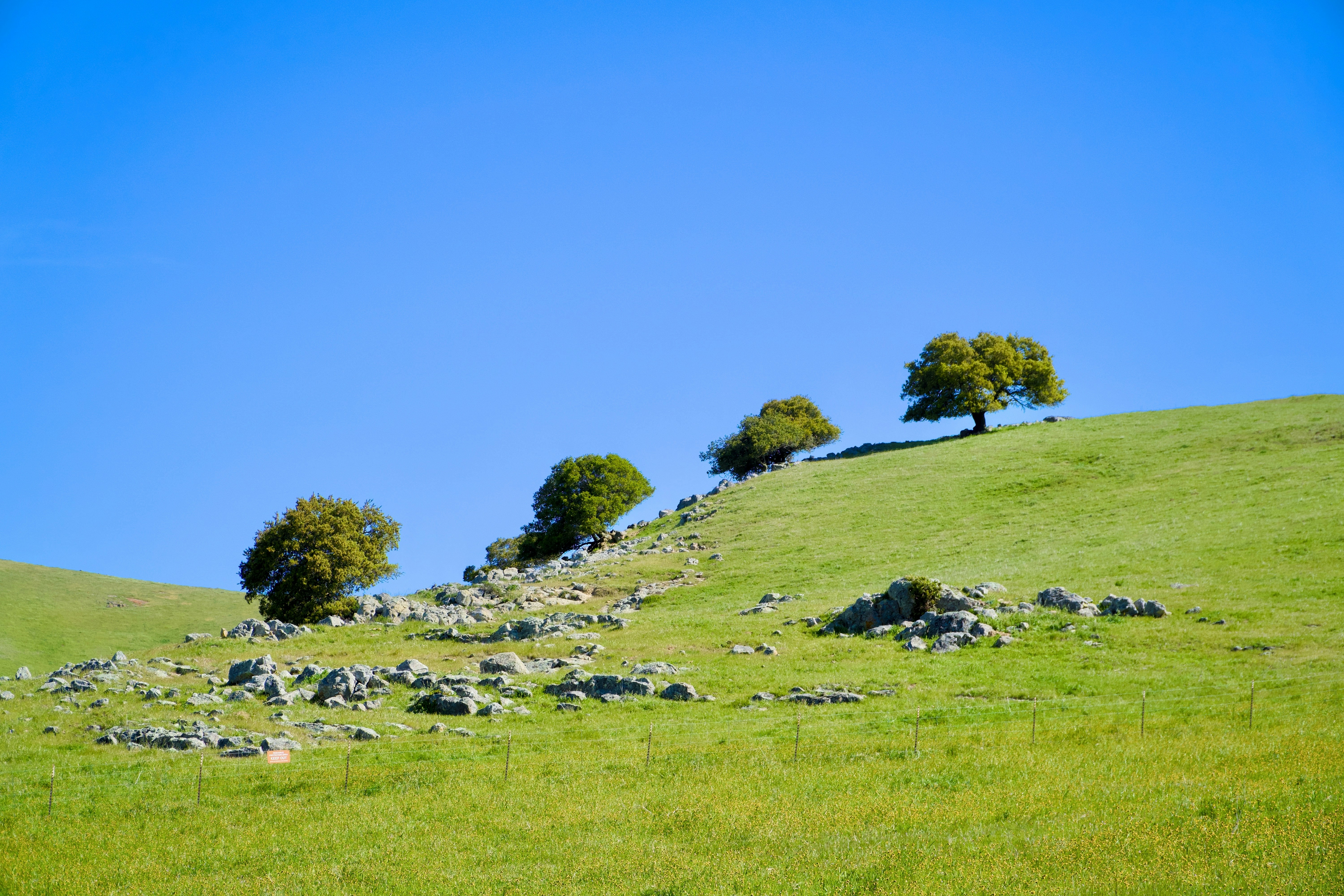 Photo by spencer_demera