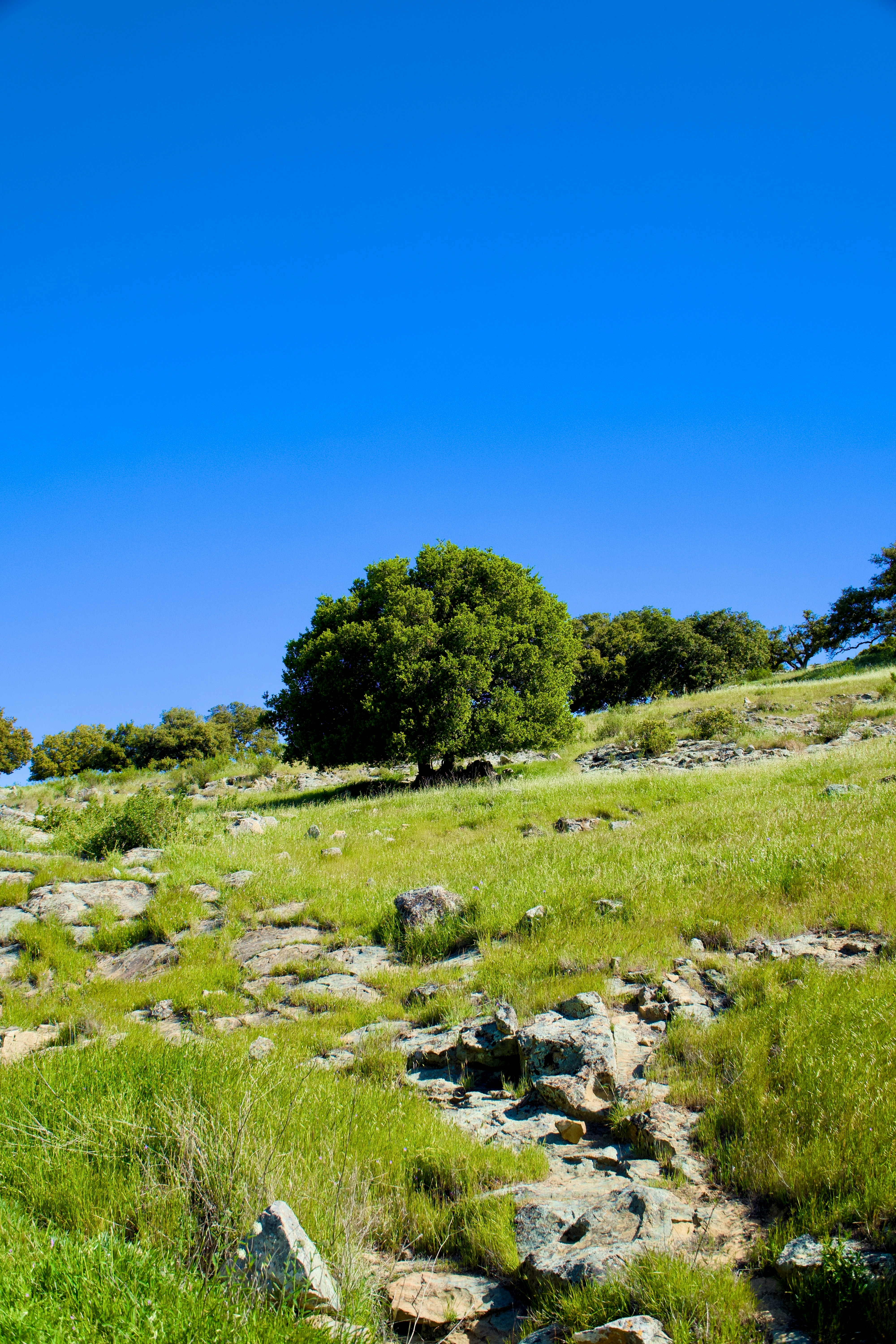 Photo by spencer_demera