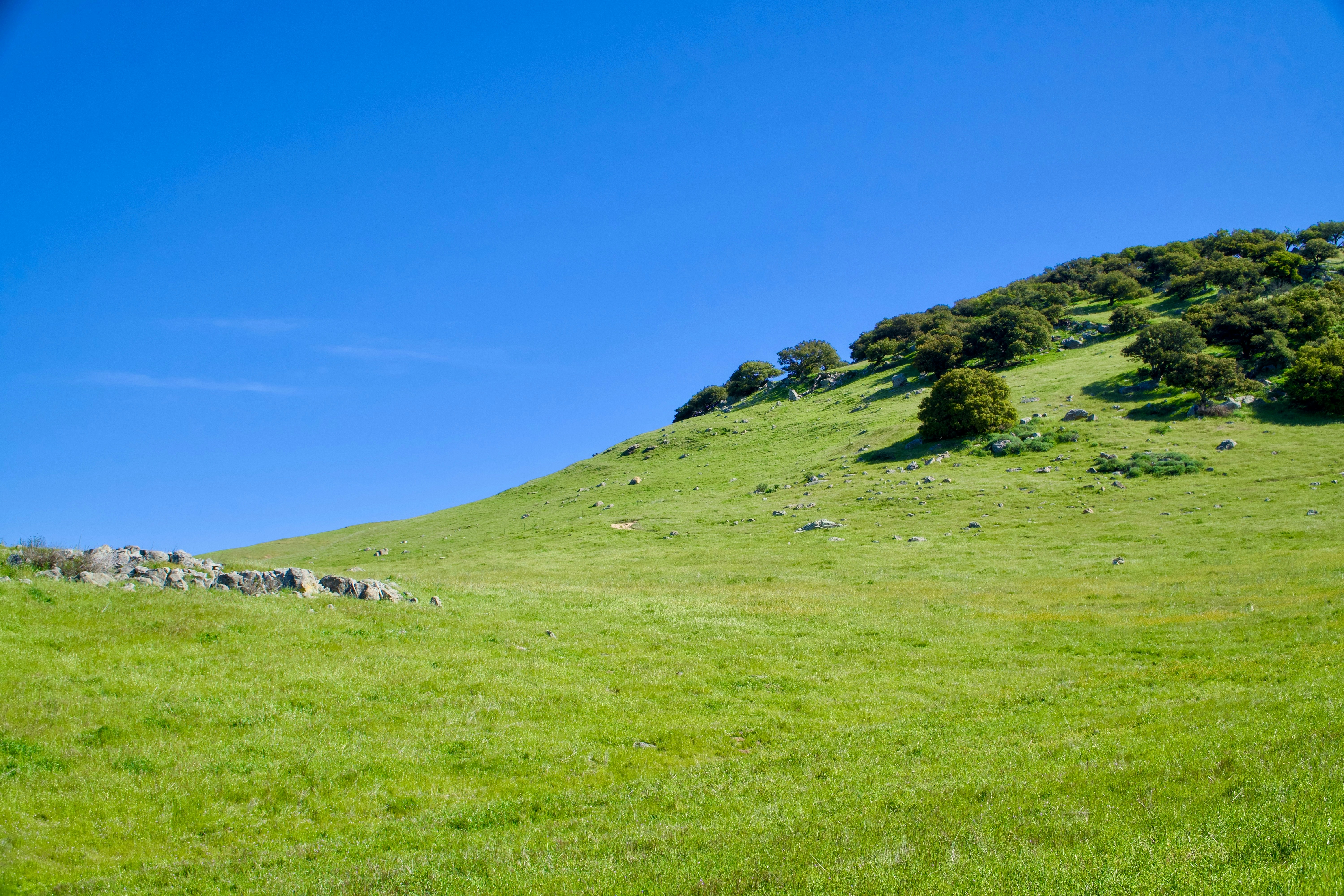 Photo by spencer_demera