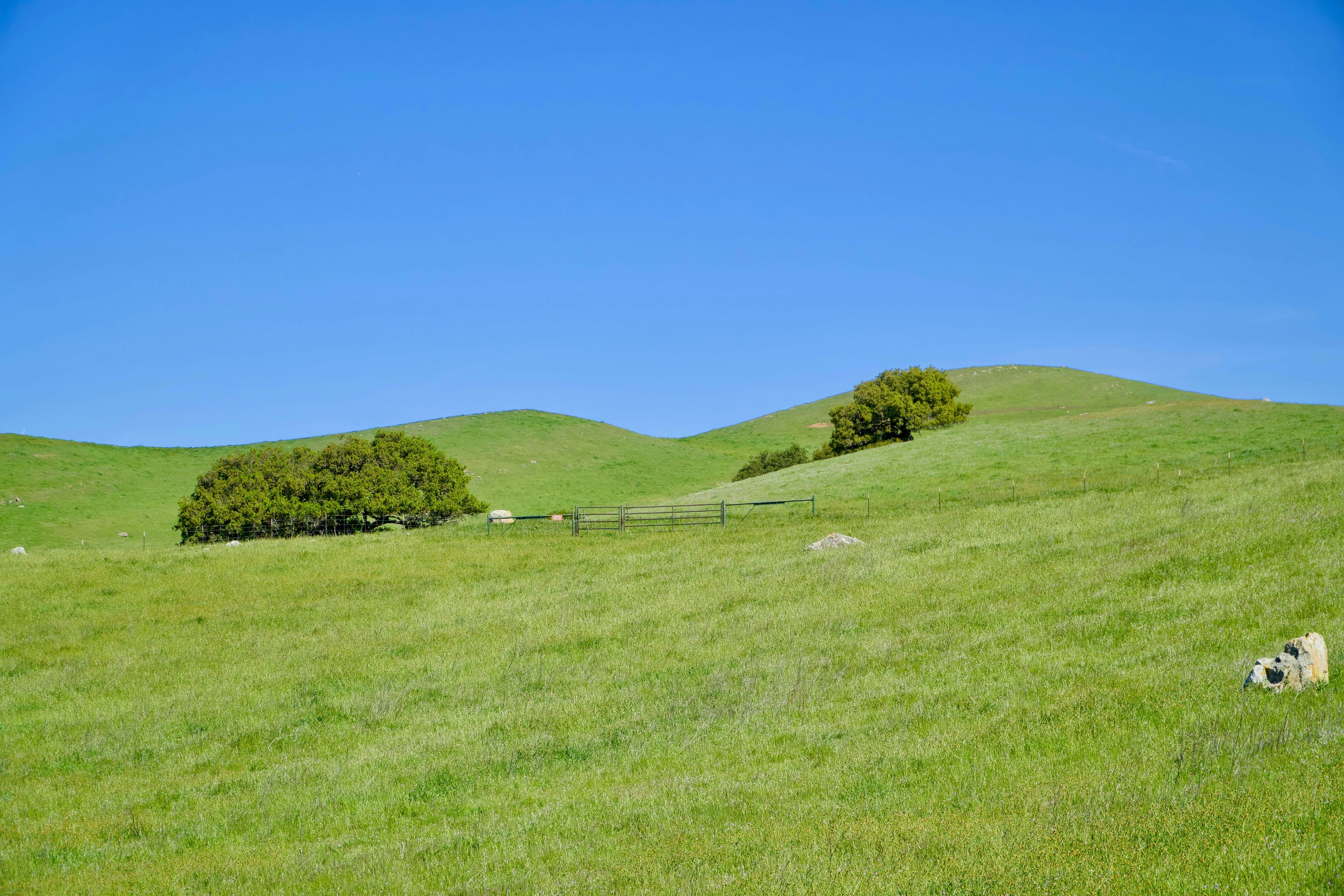 Photo by spencer_demera