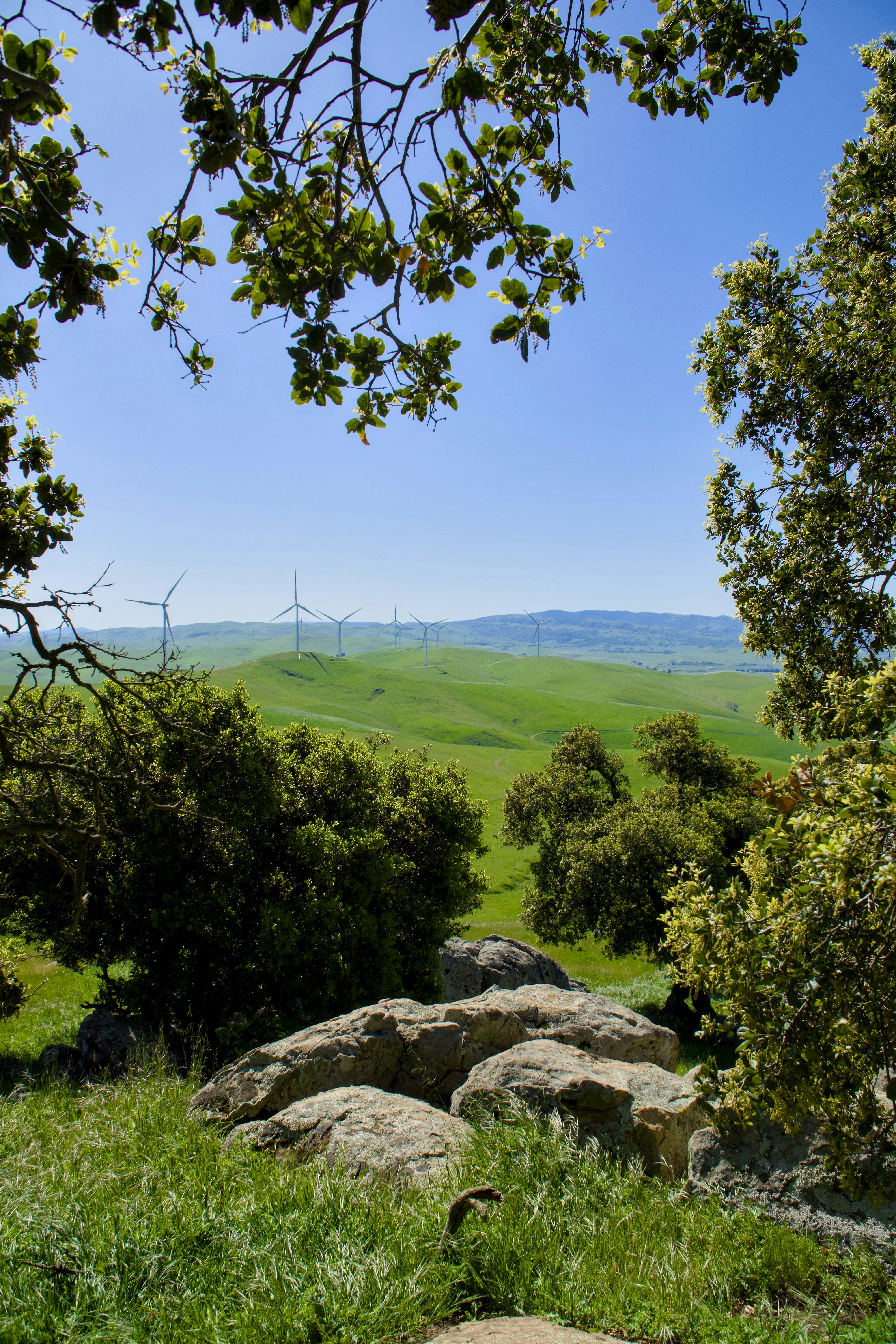 California’s Groundwater Crackdown