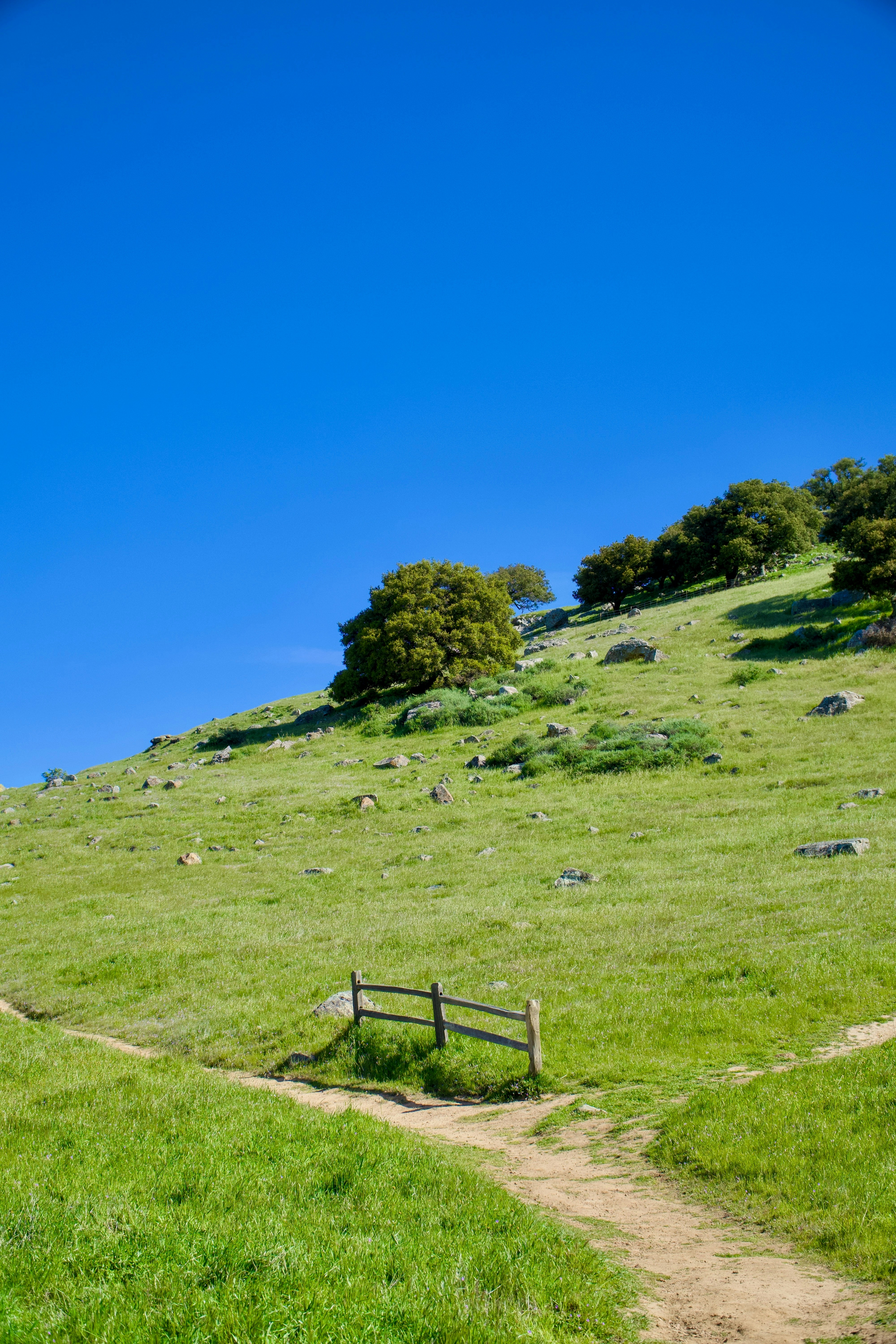 Photo by spencer_demera