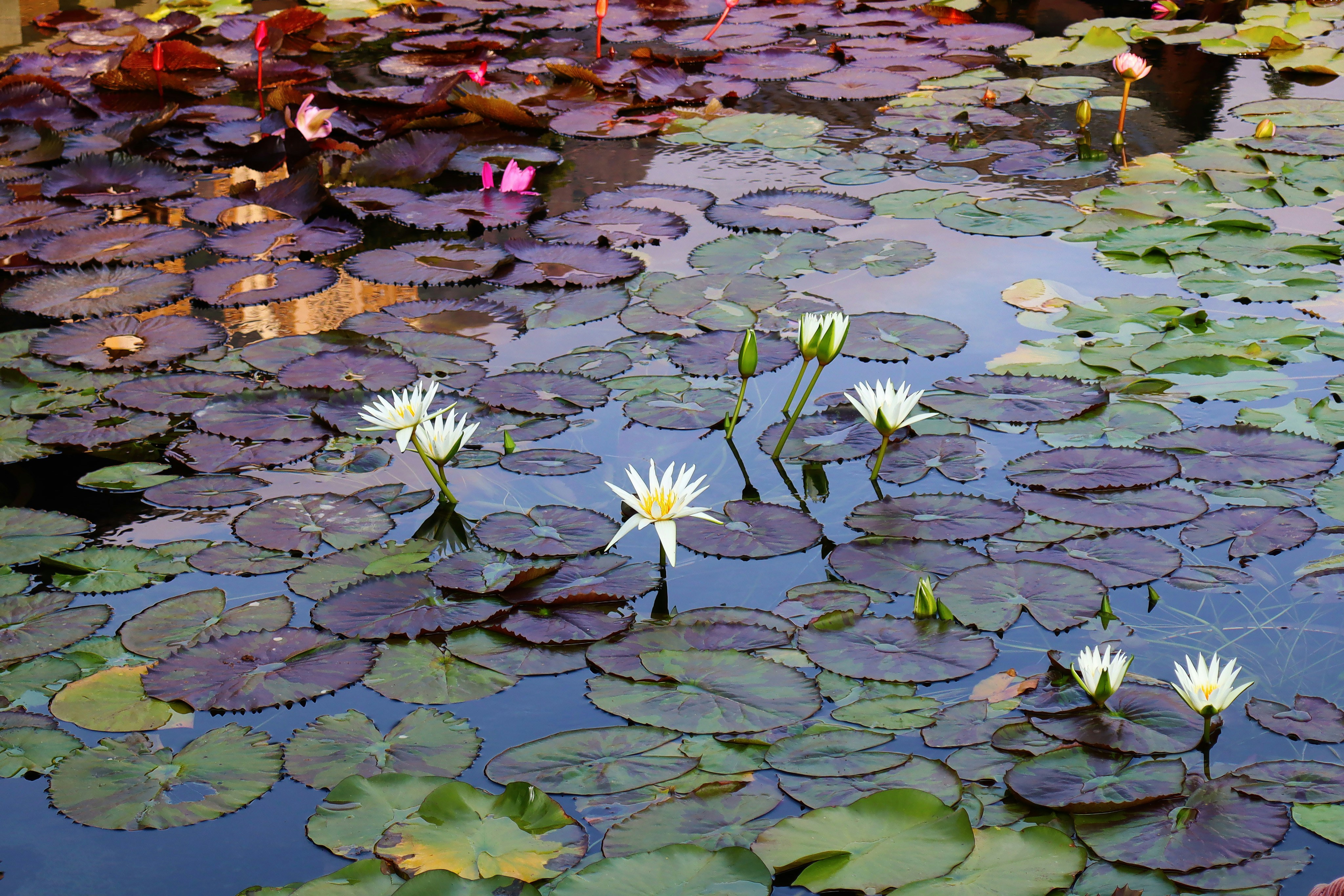 Photo by mirnawabisabi