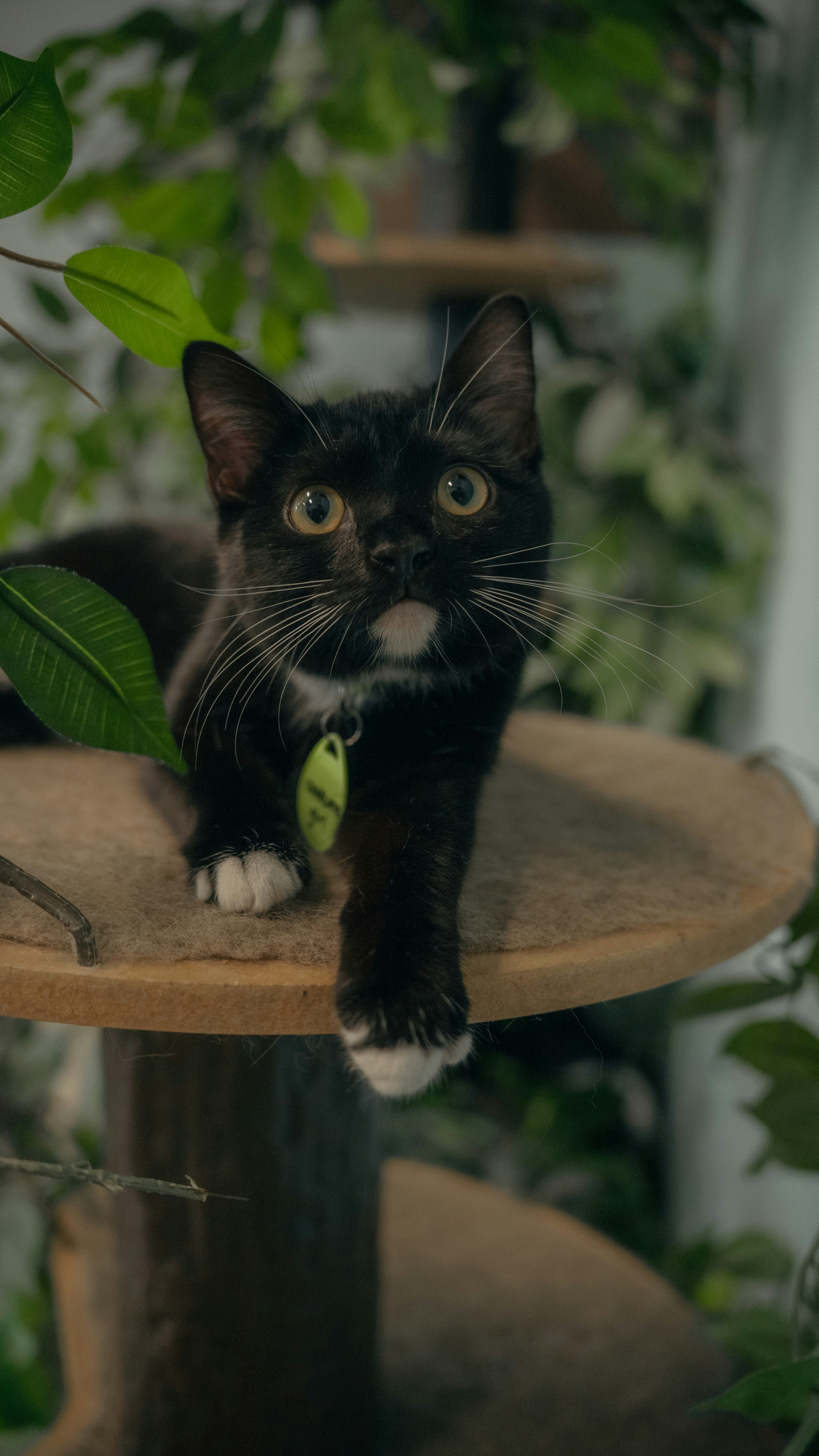 Photo by daniwithaniphotovideo