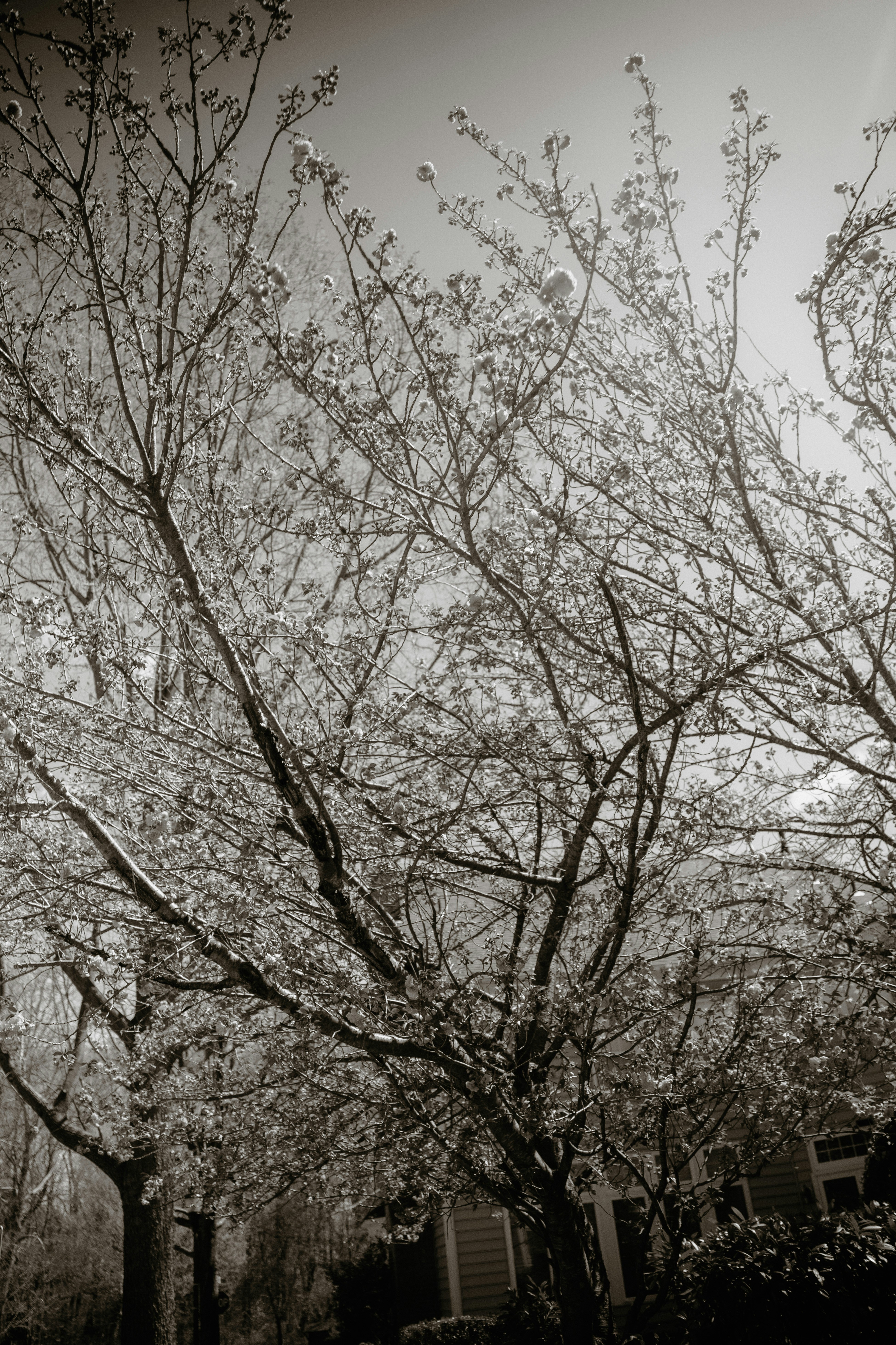 Photo by daniwithaniphotovideo