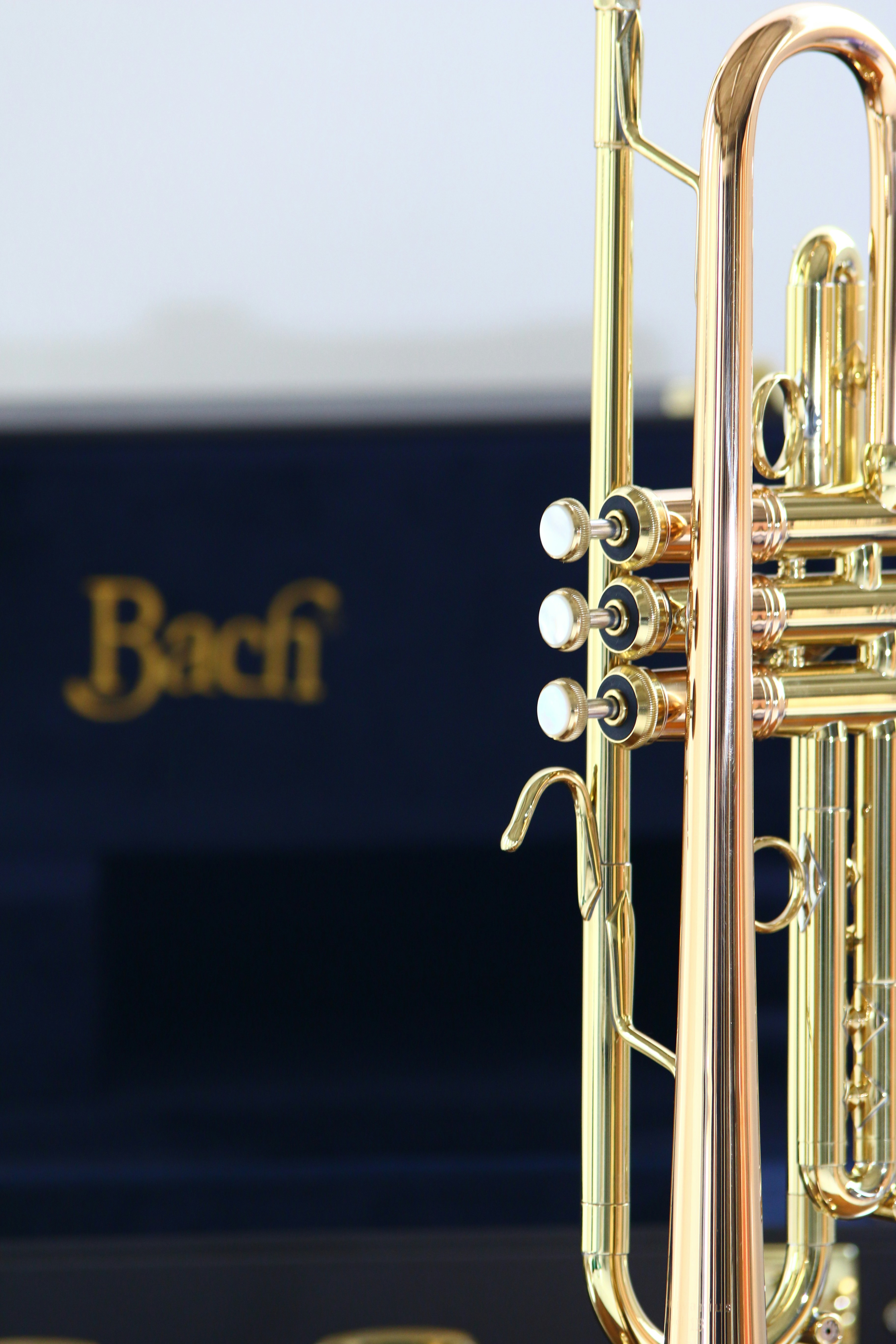 A gold trumpet is shown near a dark blue case.