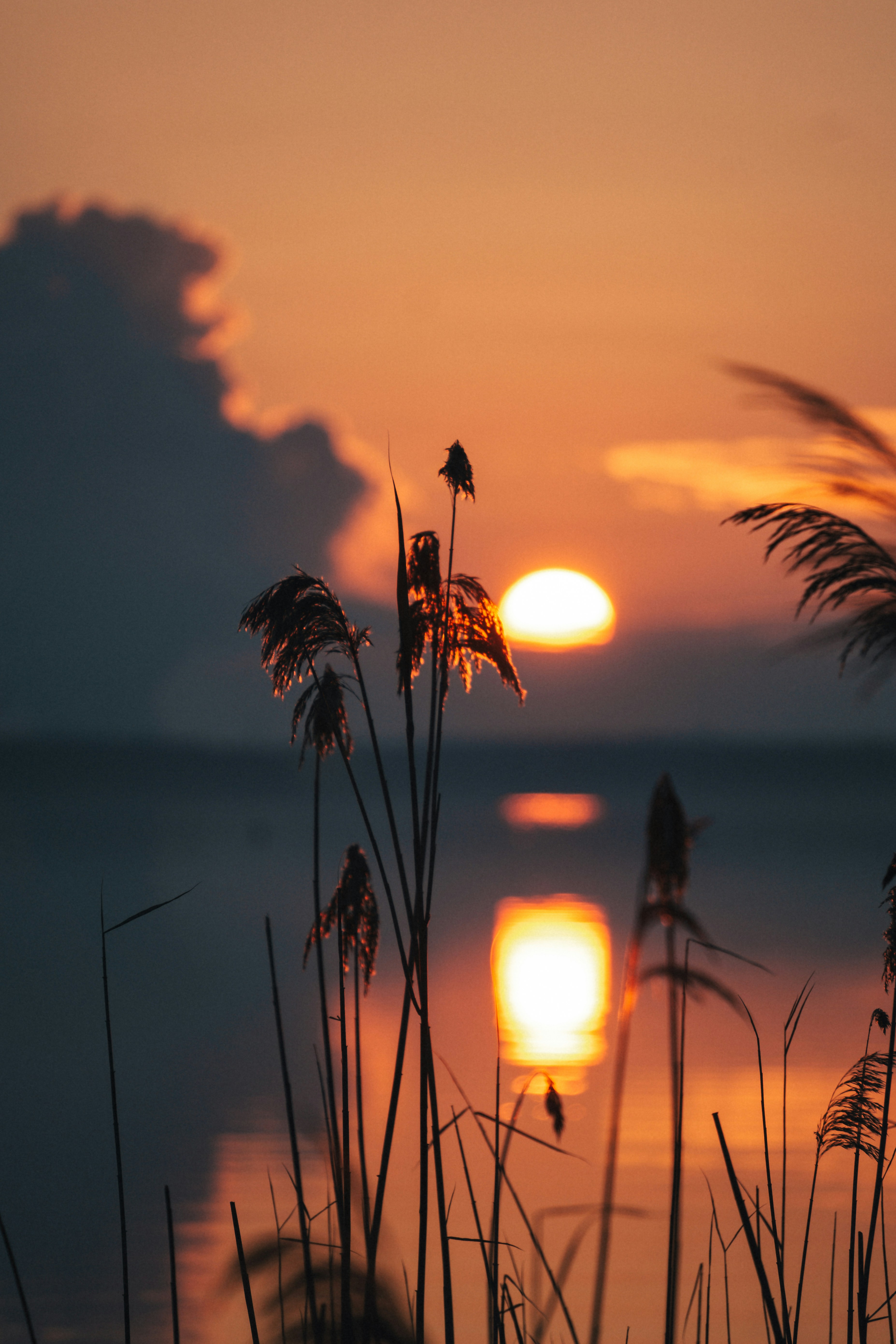 Photo by klautja