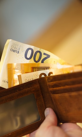 Wallet containing euro banknotes.