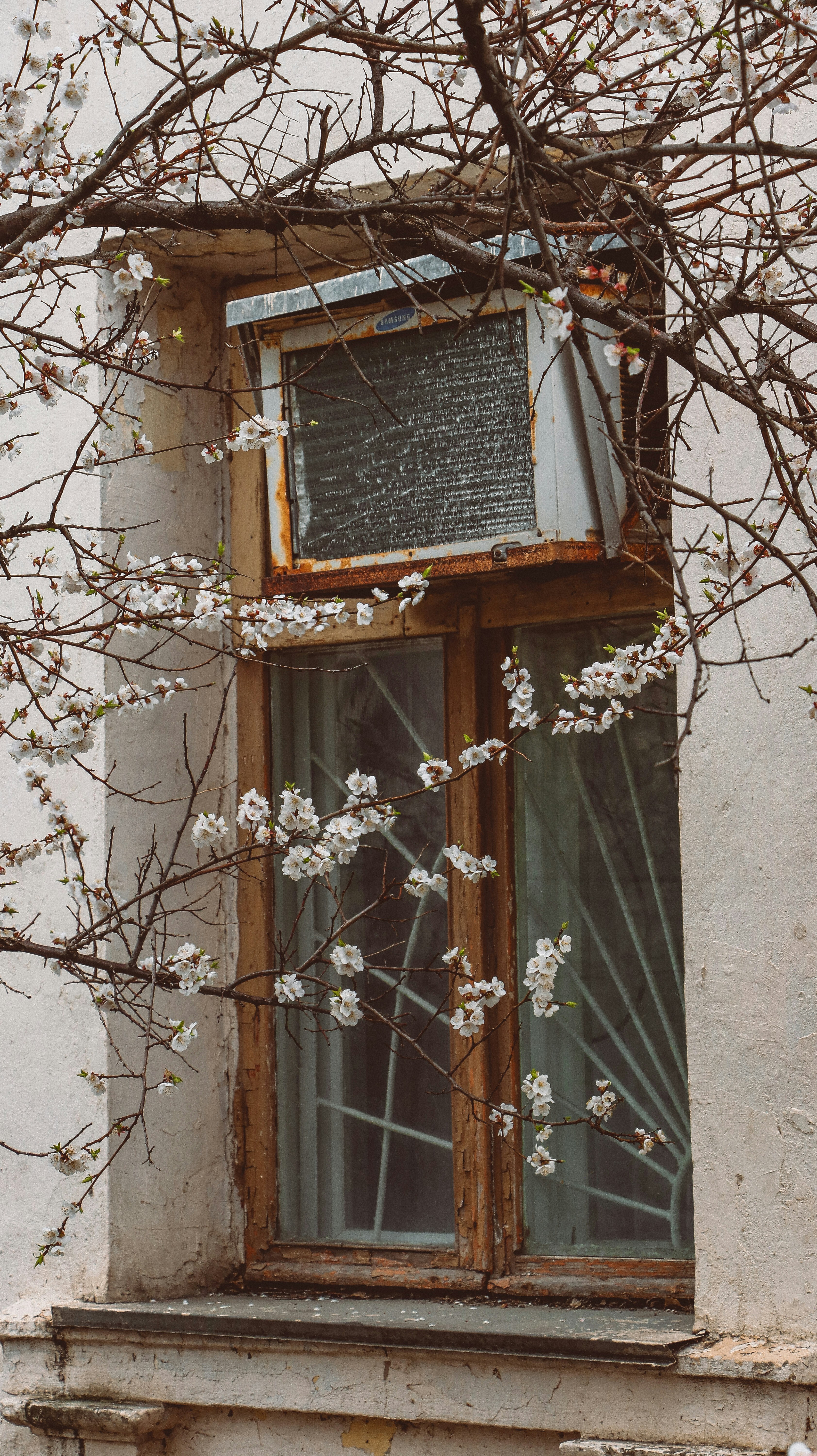 Photo by khris_serg