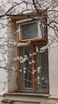 A window with blossoming branches in front.