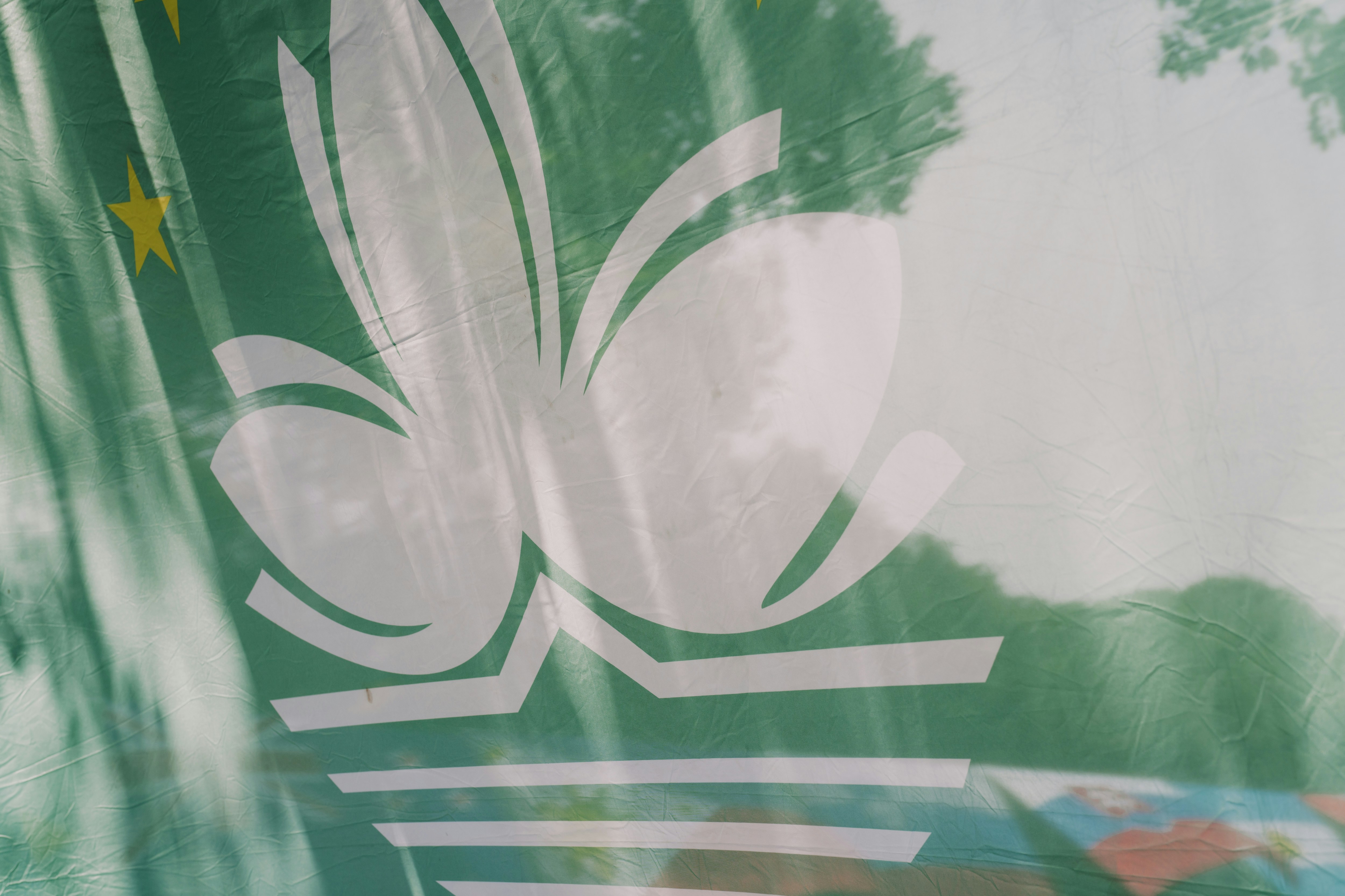 Un logotipo en forma de flor blanca sobre un fondo verde.