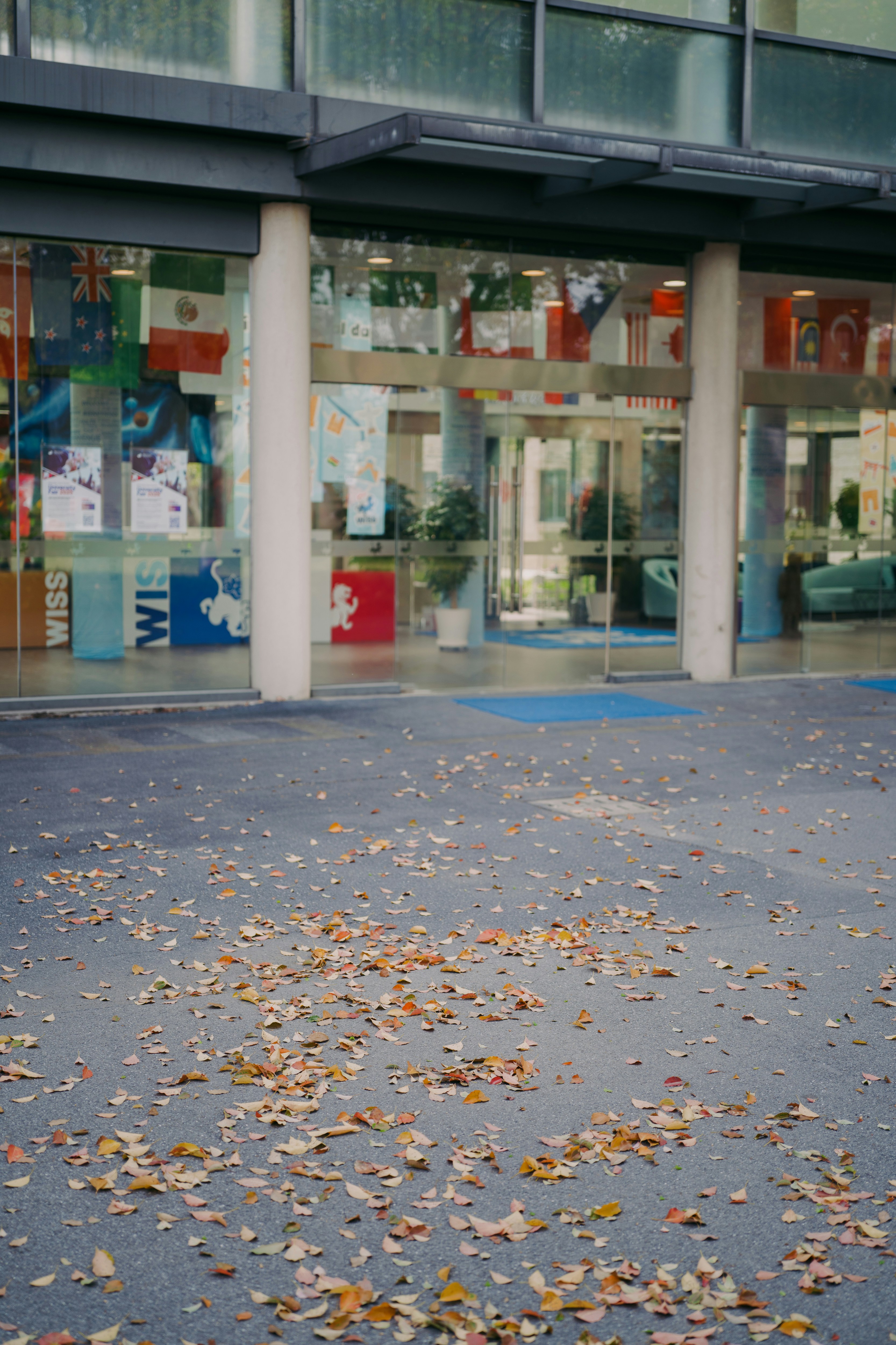 Des feuilles mortes recouvrent le sol devant un bâtiment.
