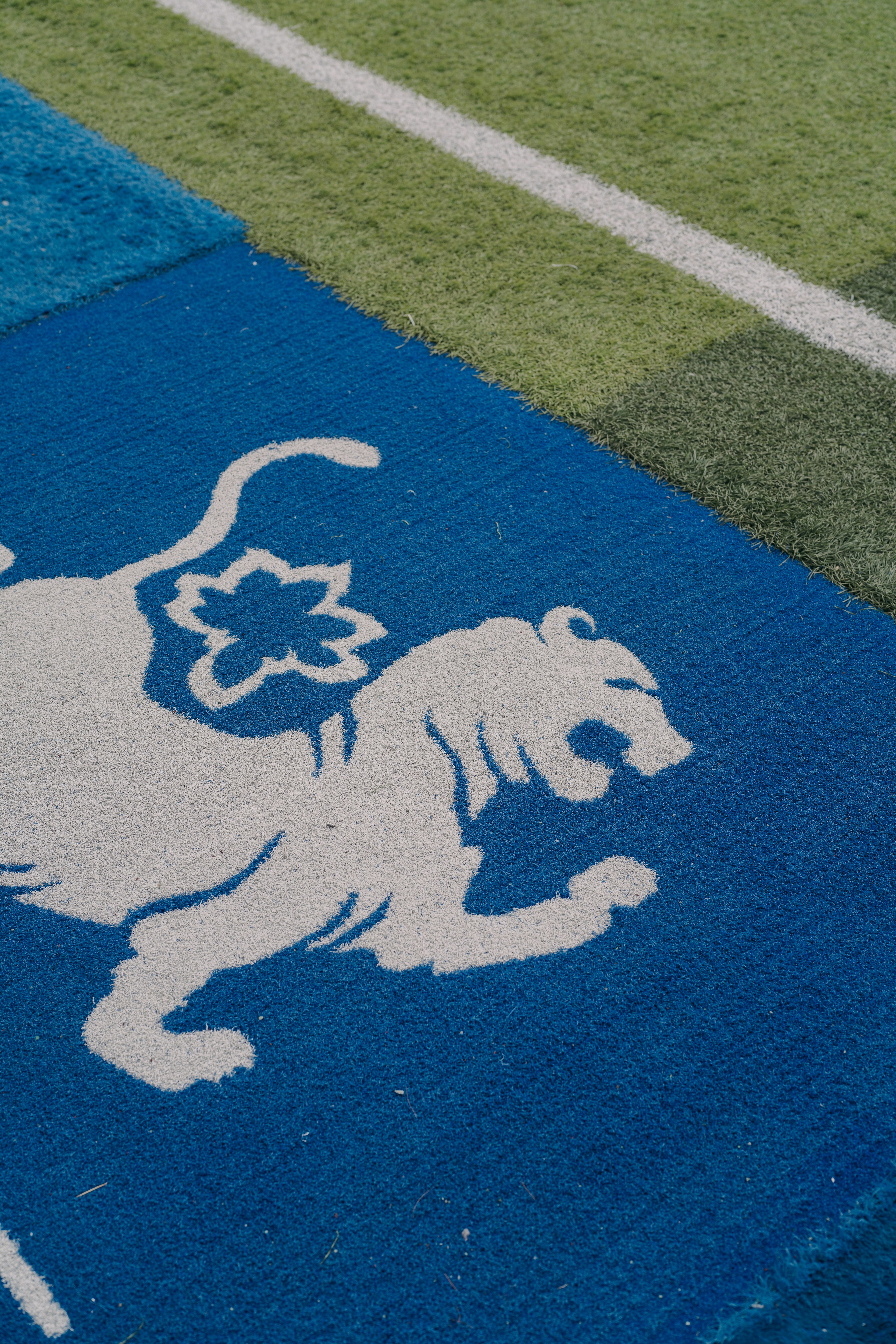 Un logotipo de tigre sobre un césped azul.