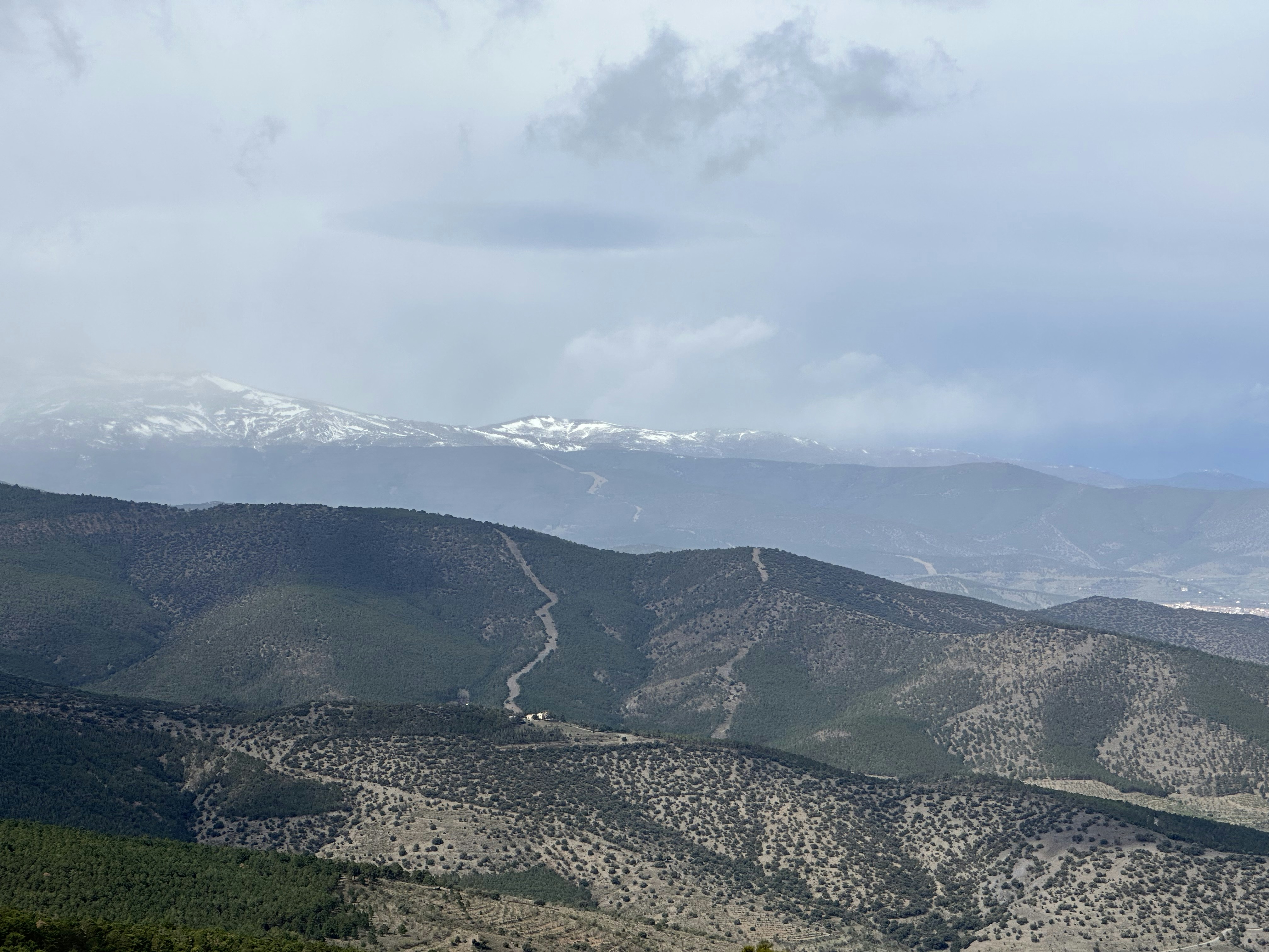 Photo by sergei_gussev