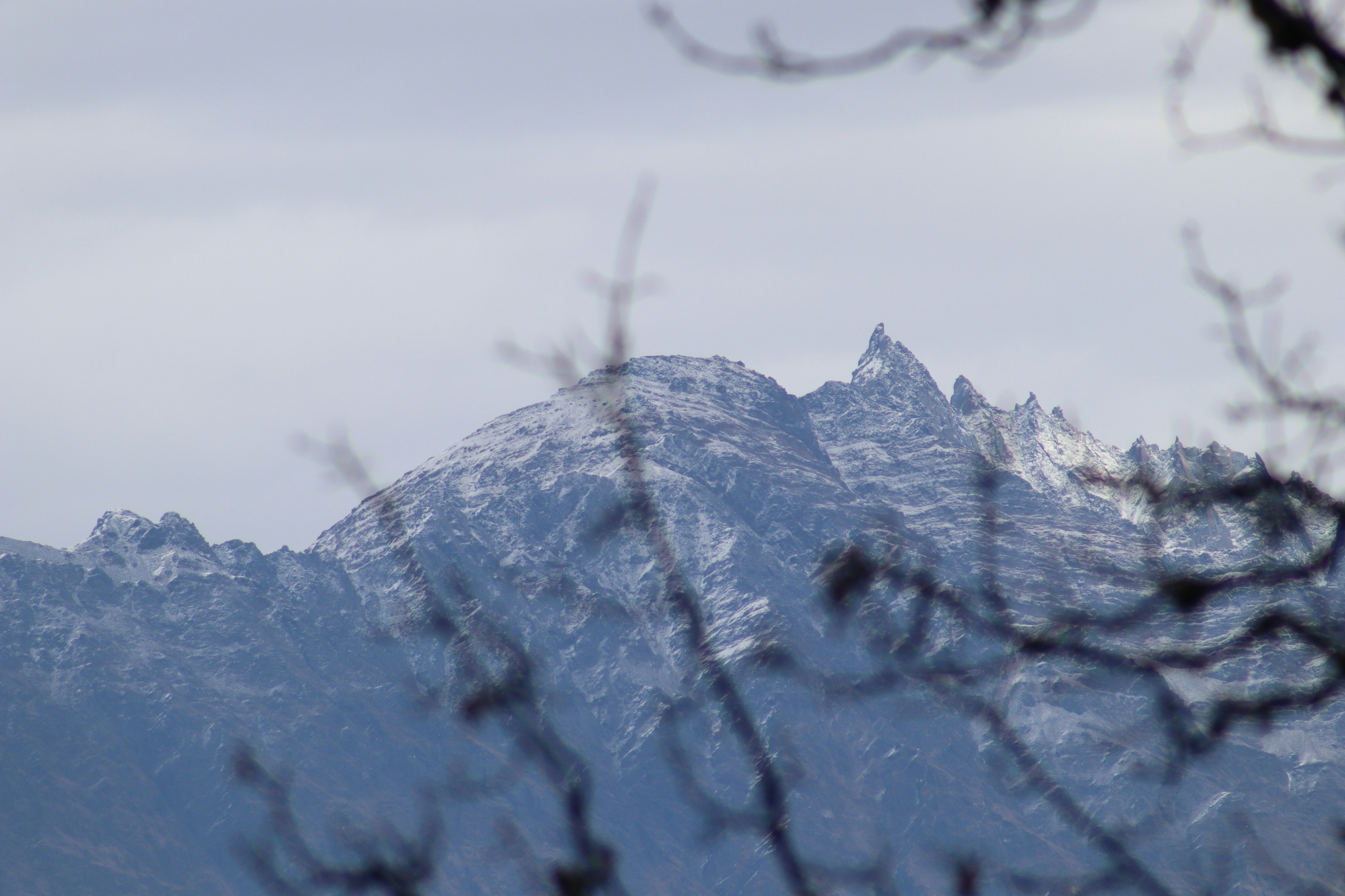 Snowy mountain peaks are seen through branches.